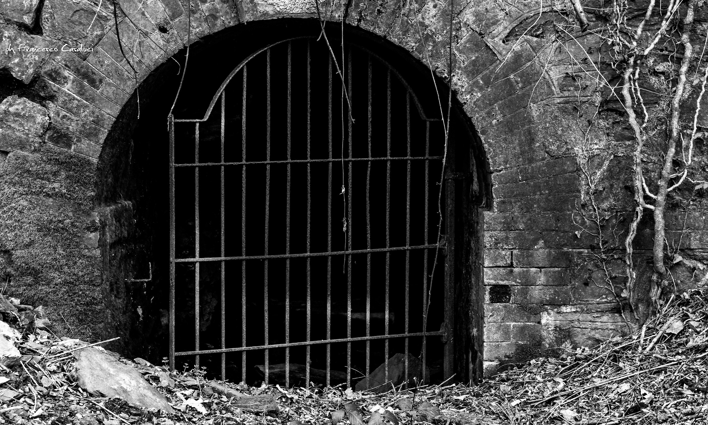 Down there in the silence