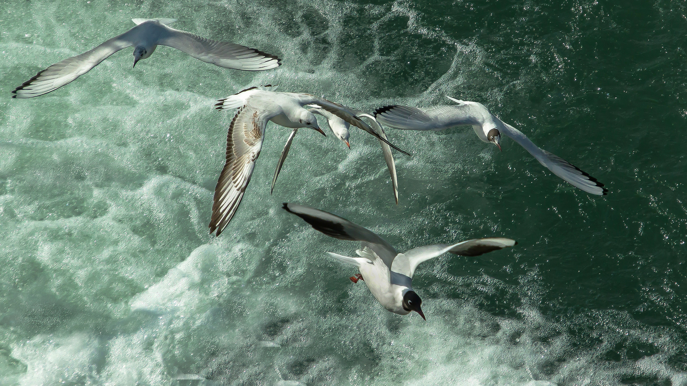 With the fantasy was one of them ....