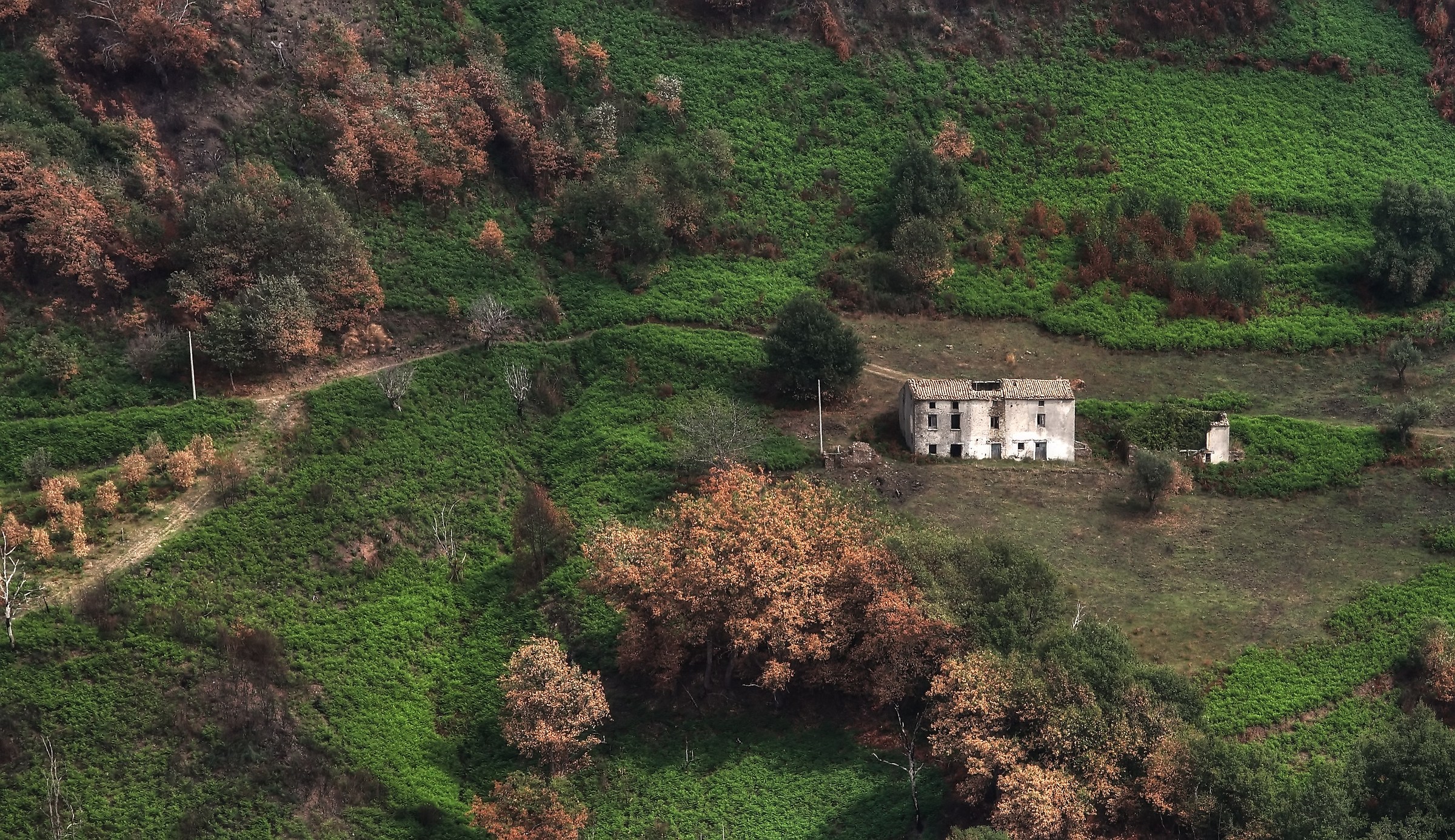 voglio vivere in campagna ..ahaa..ahaa