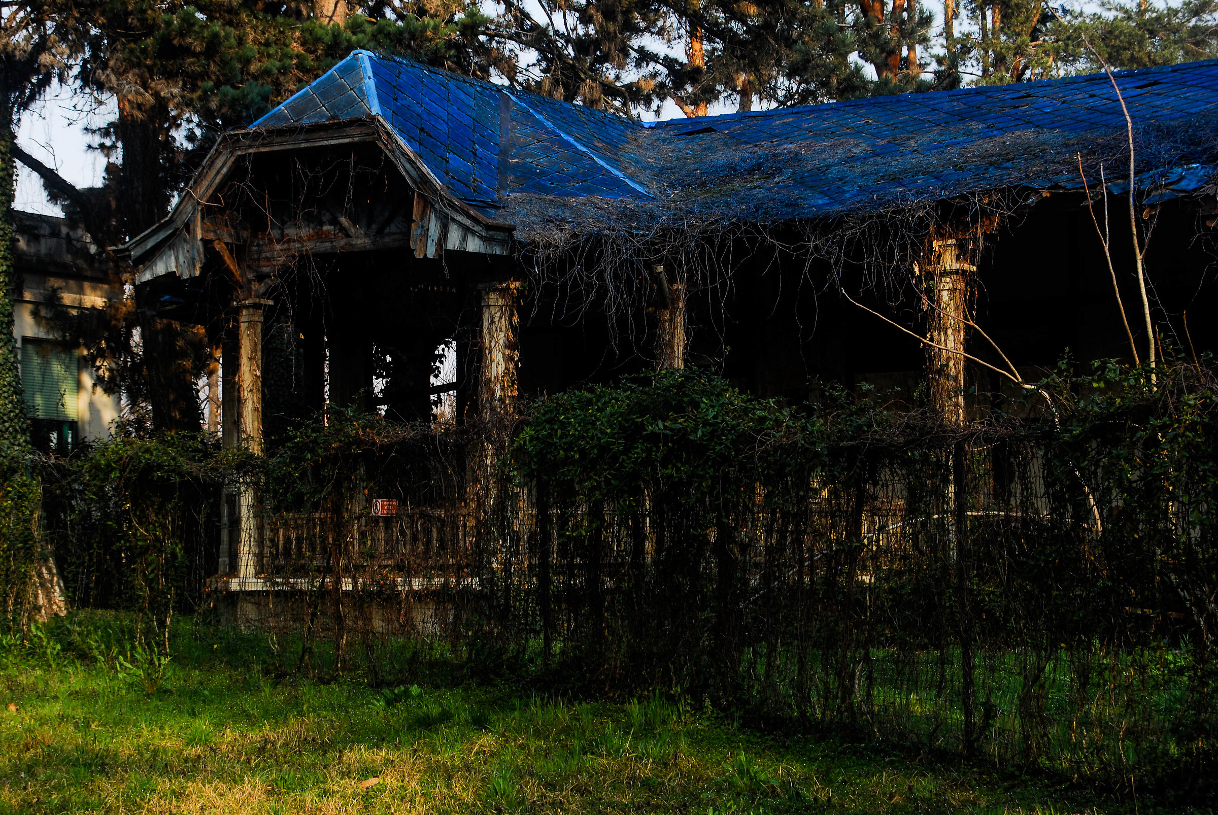 Abbandonata alla natura