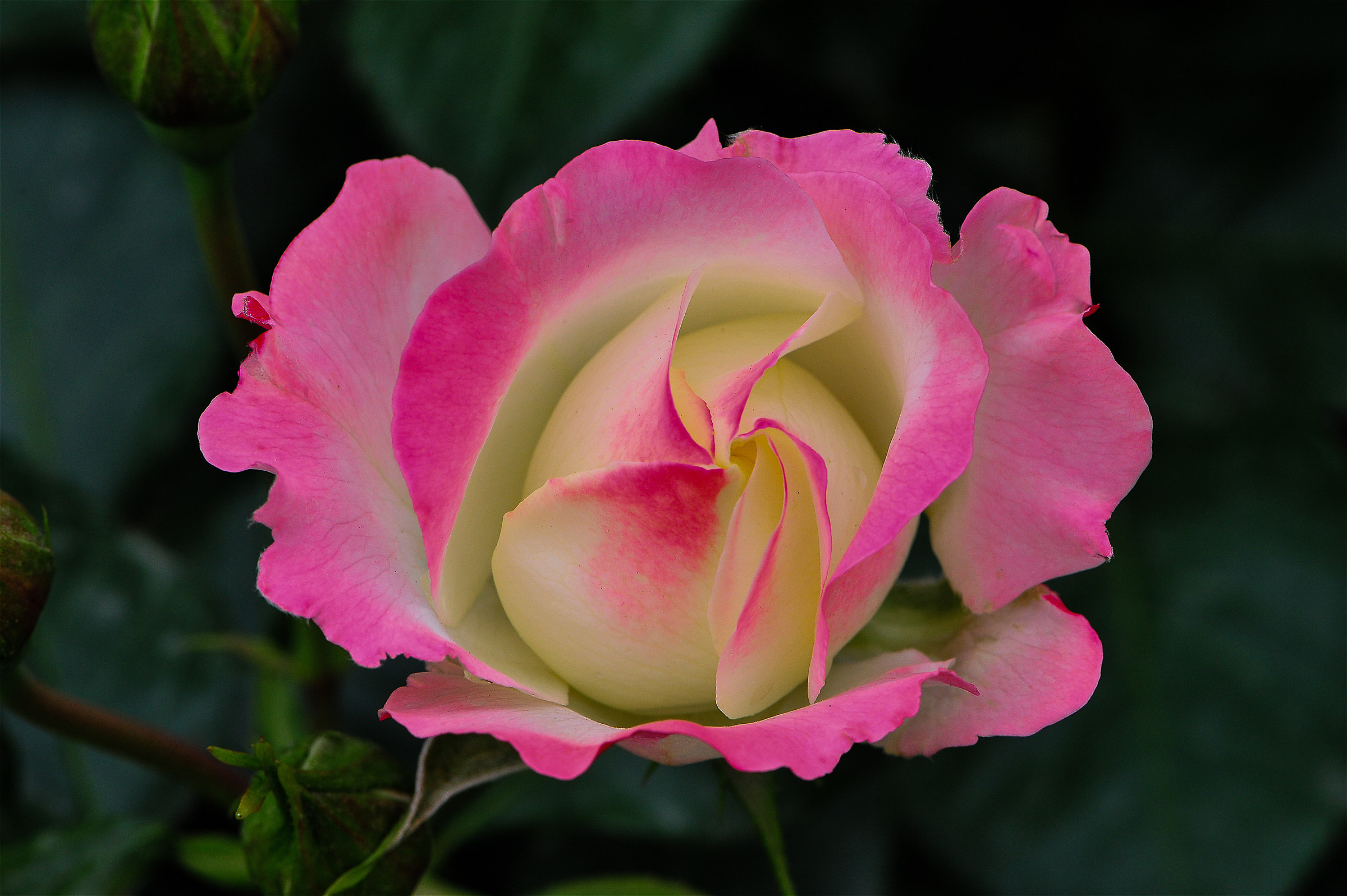 Roma-Roseto Comunale