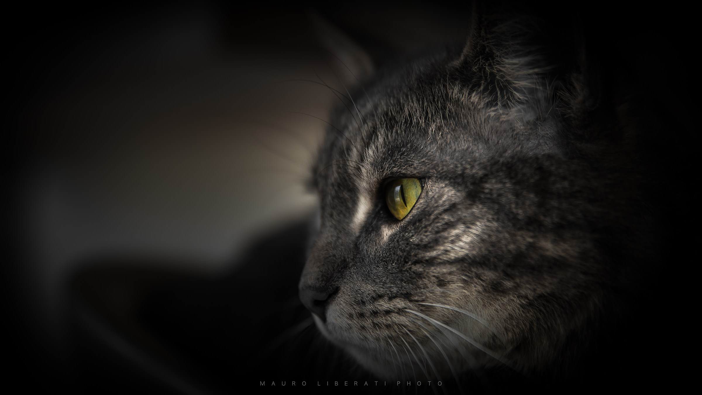 Mi dà sempre un brivido