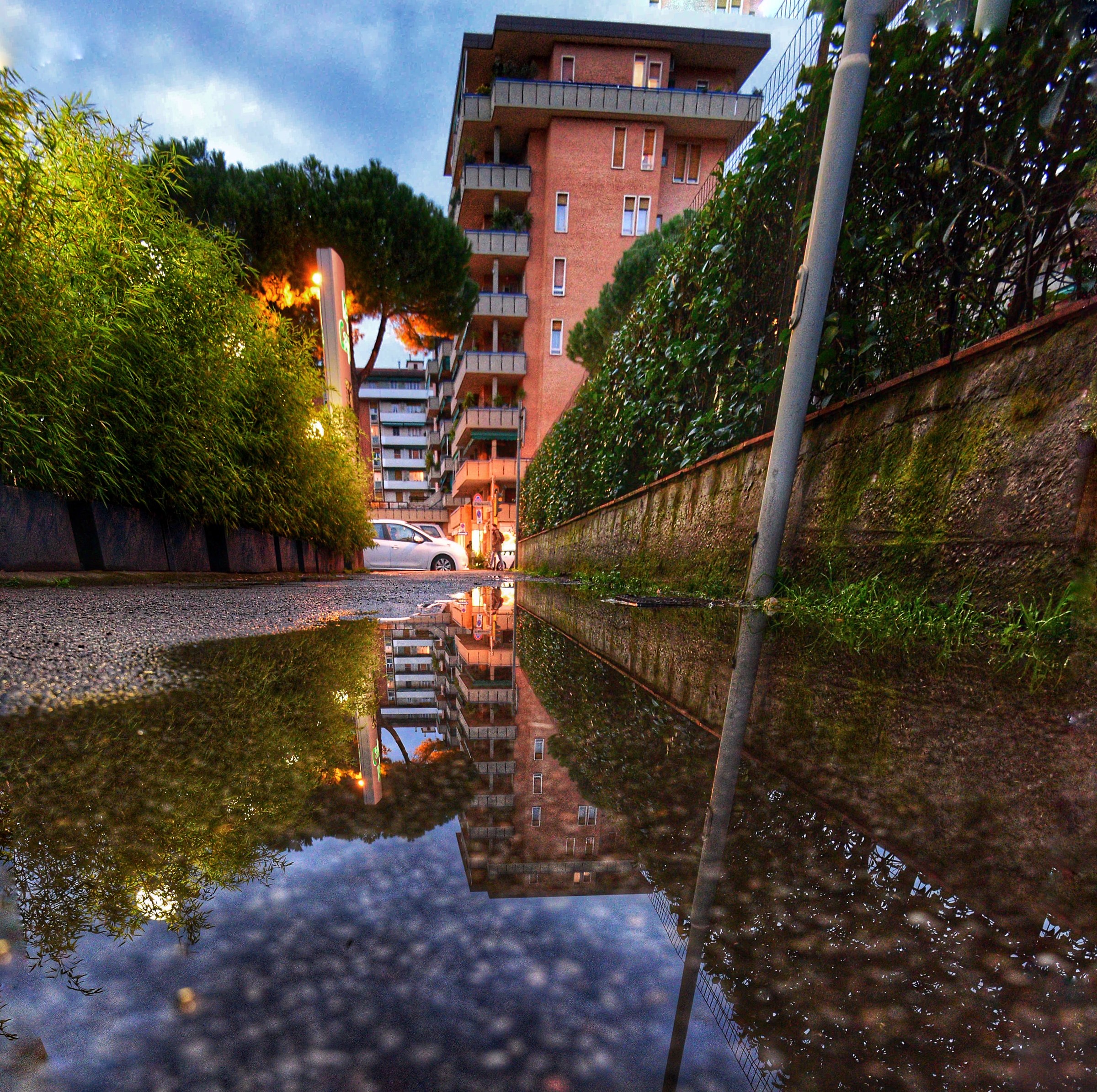 Reflections in rainwater