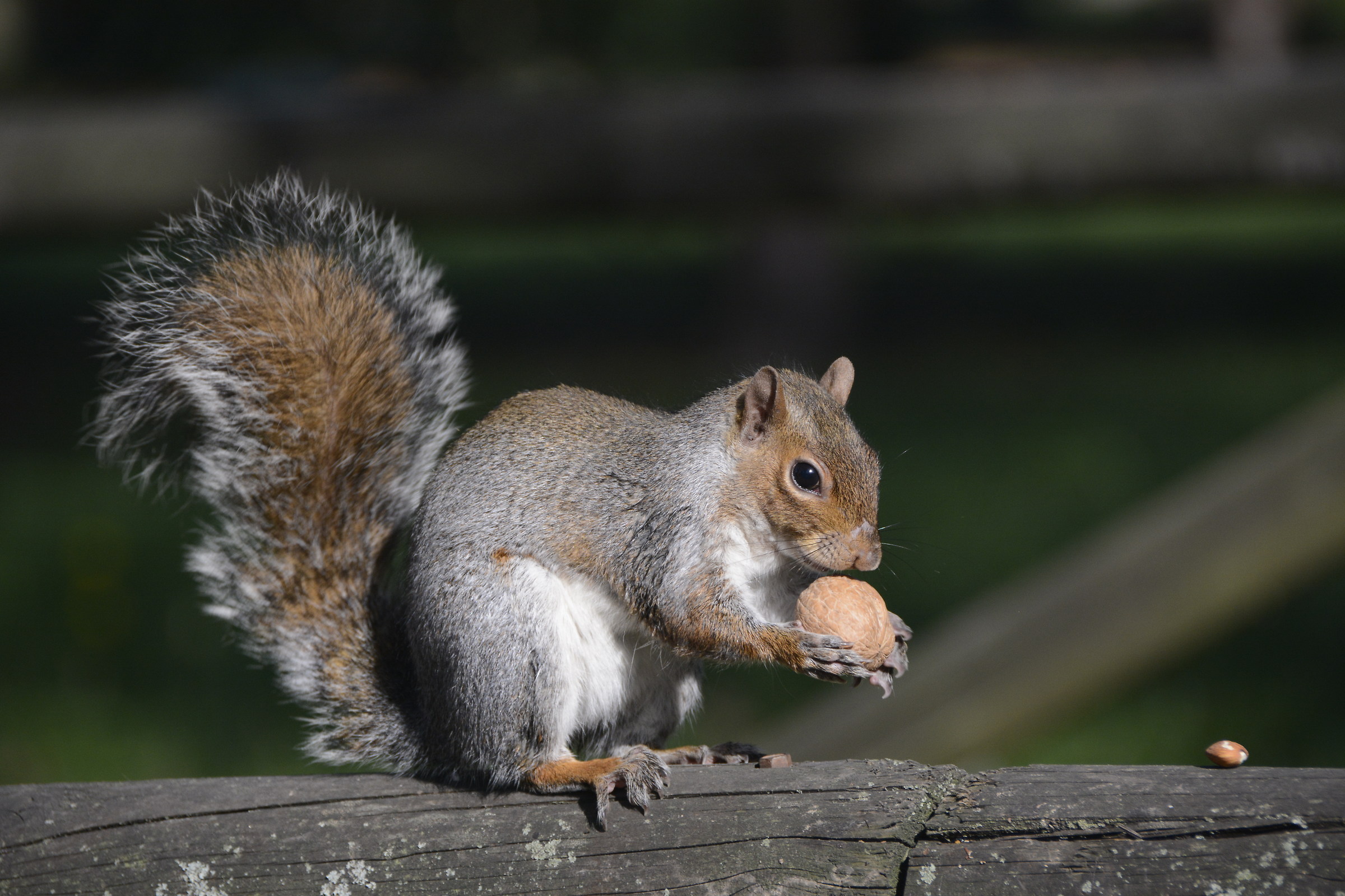 Spuntino a meta' pomeriggio