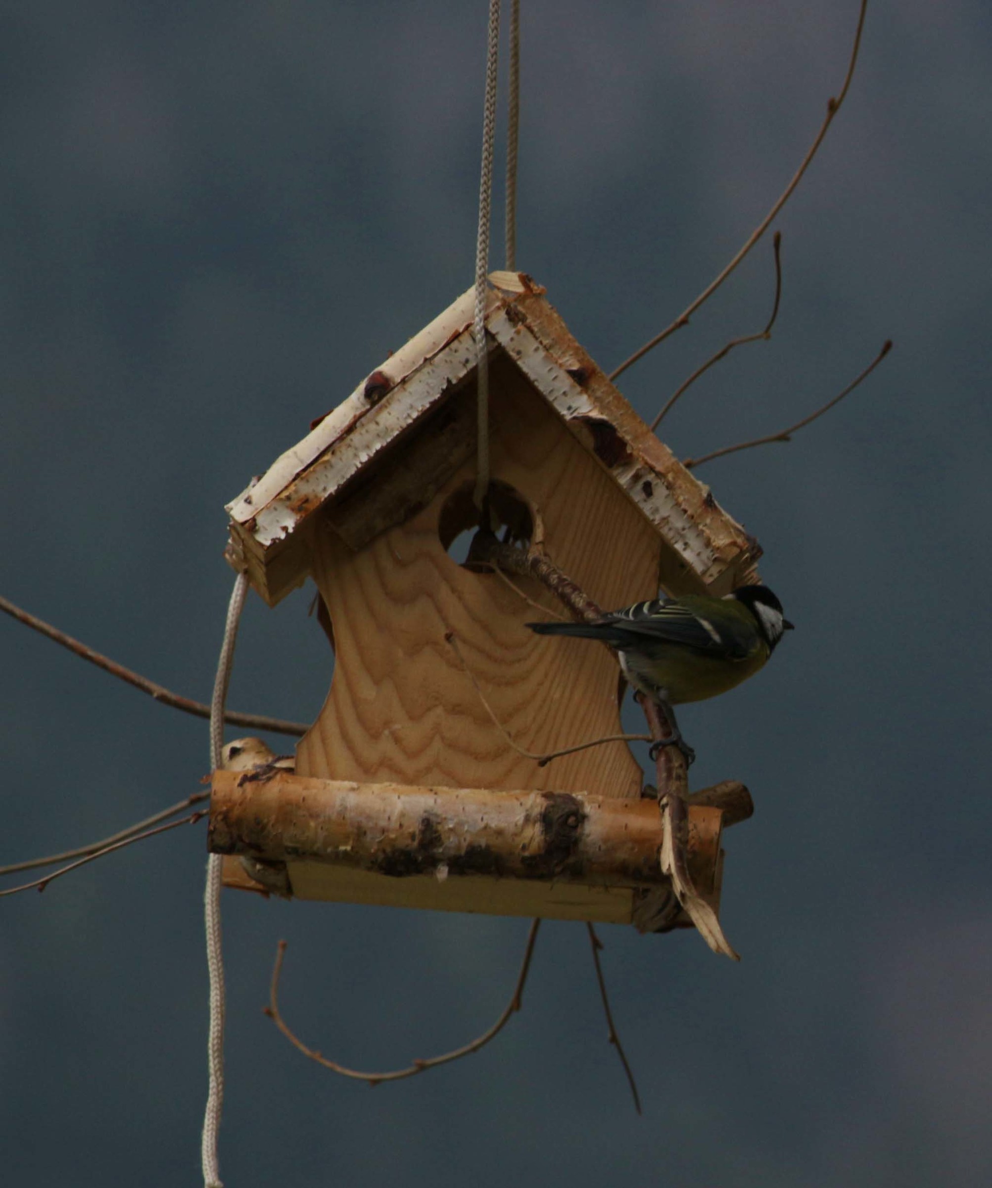 Il riparo per gli uccelli