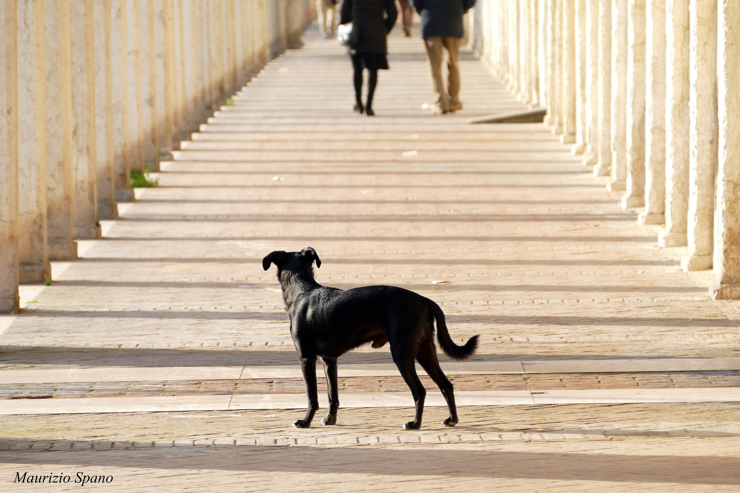 A very careful observer