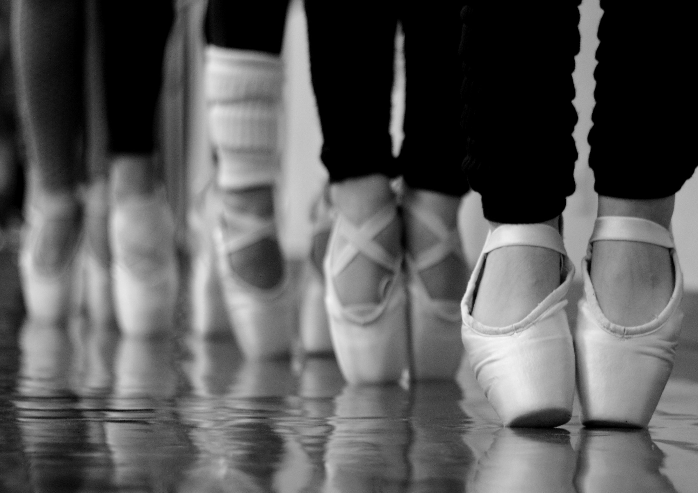 piccole ballerine crescono....