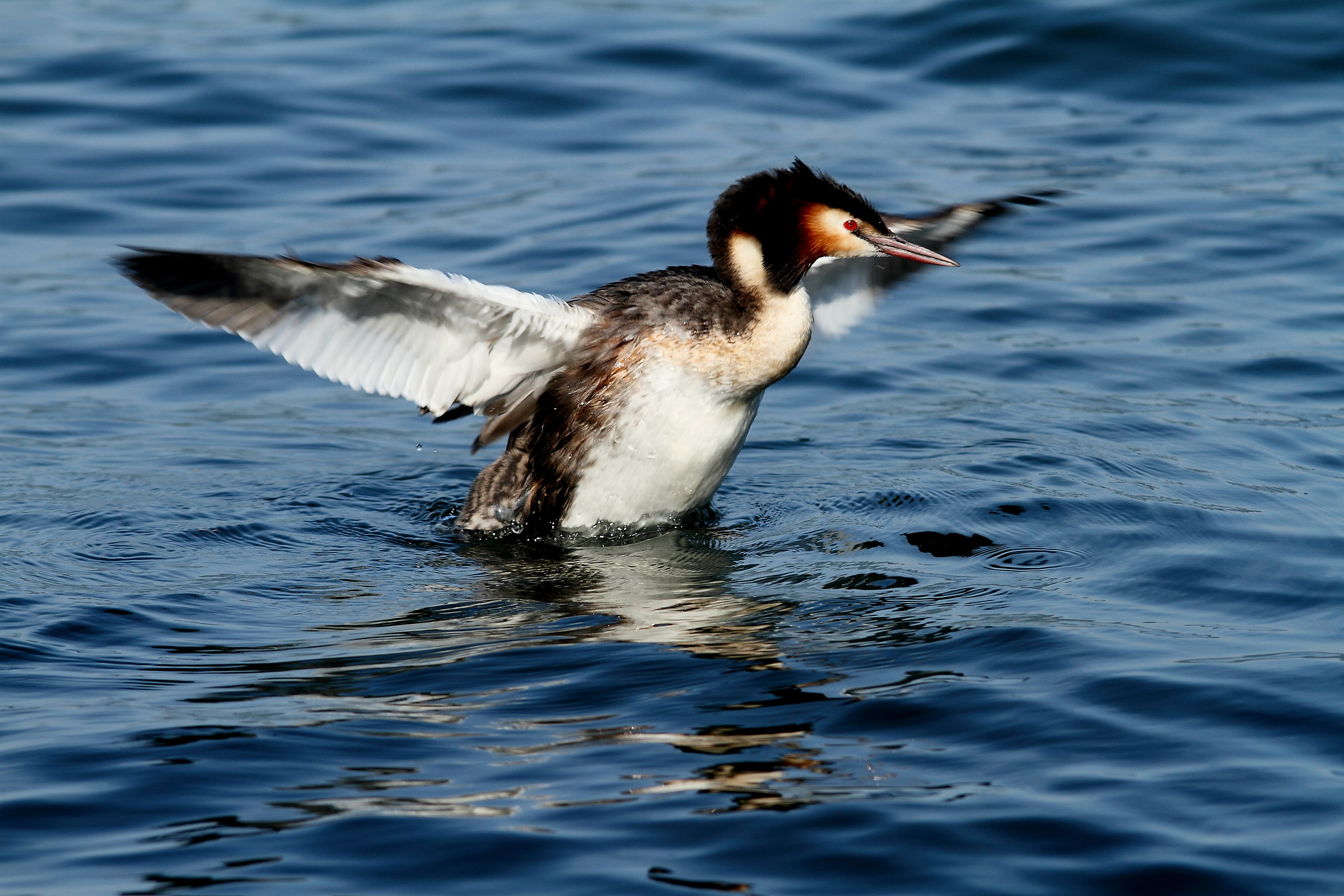 Stiracchiarsi al mattino