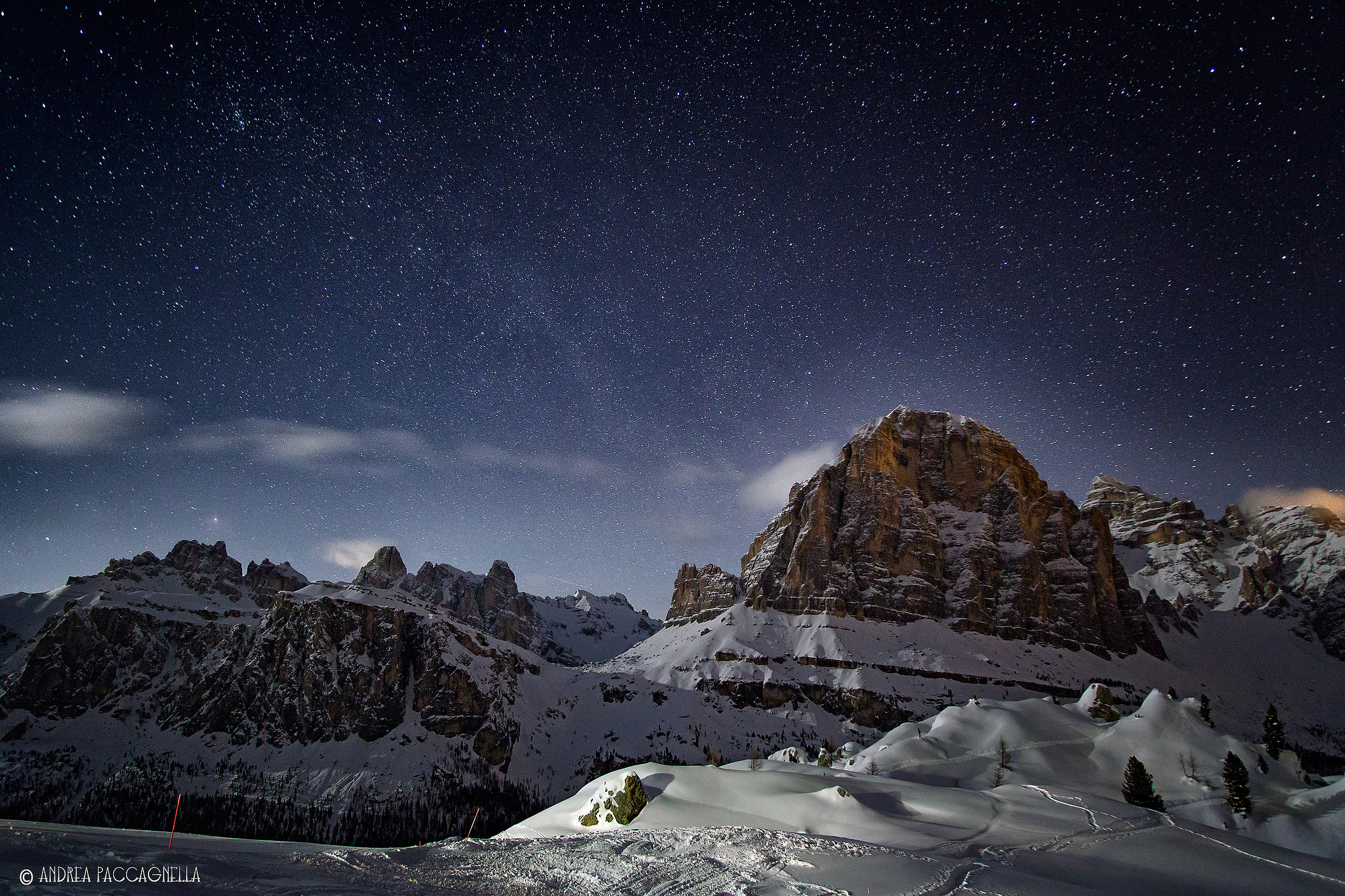 Tofana di Rozes Stardust