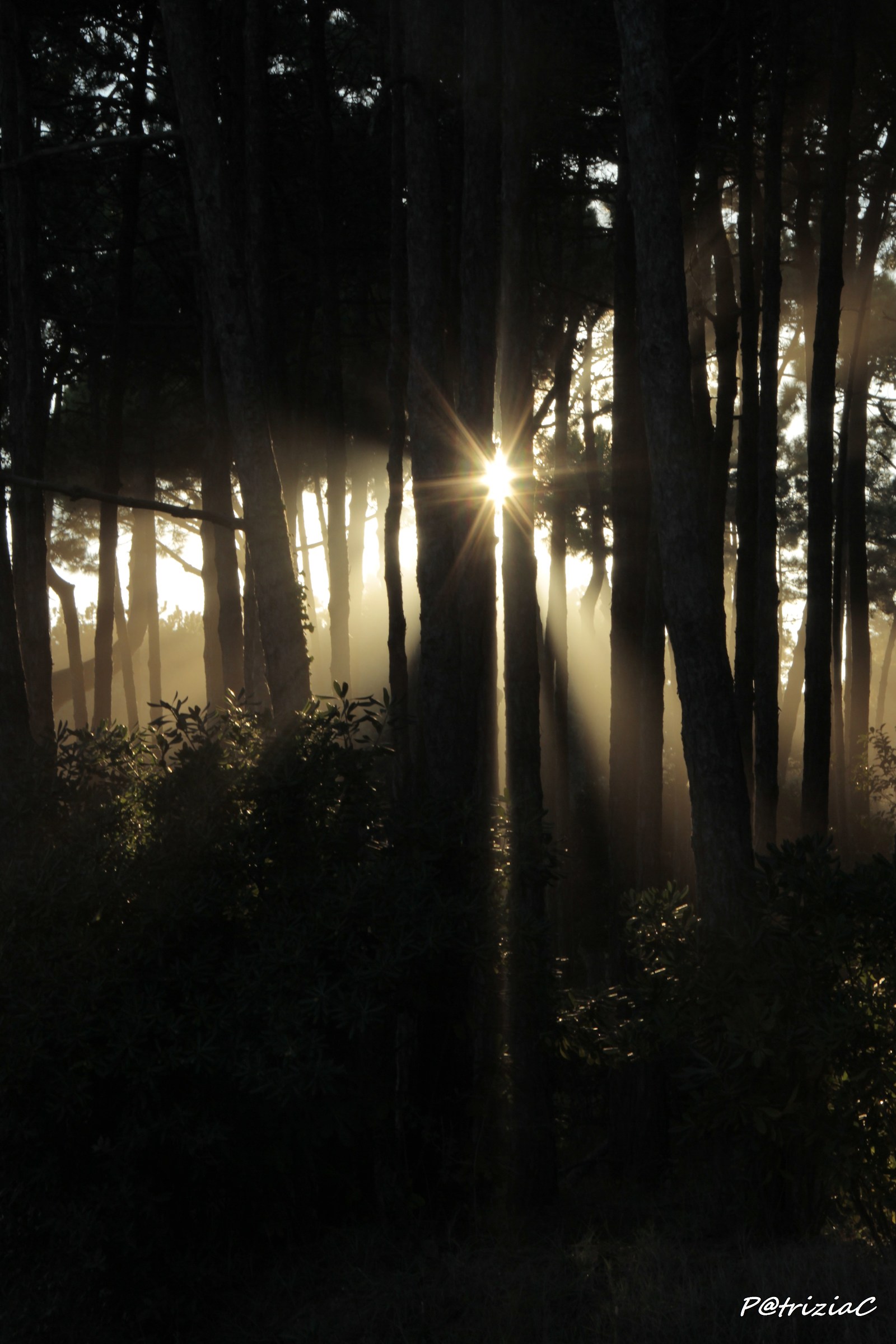 ... Glimmers of light ...