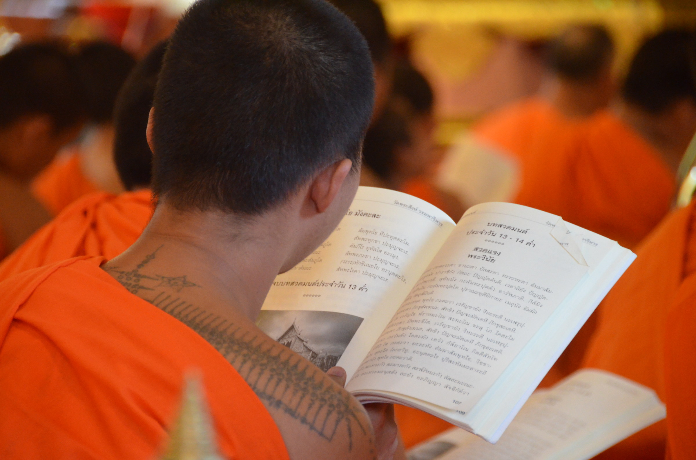 Young monaco to school