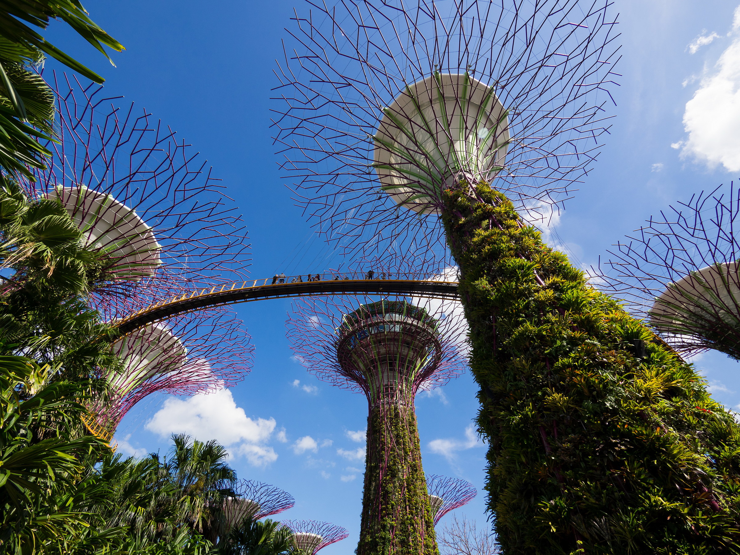 inspiration for expo?