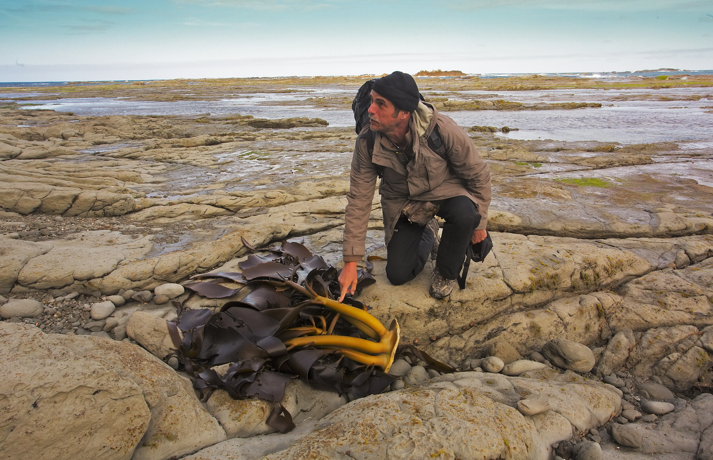 Tonight at dinner goes well the salad?
