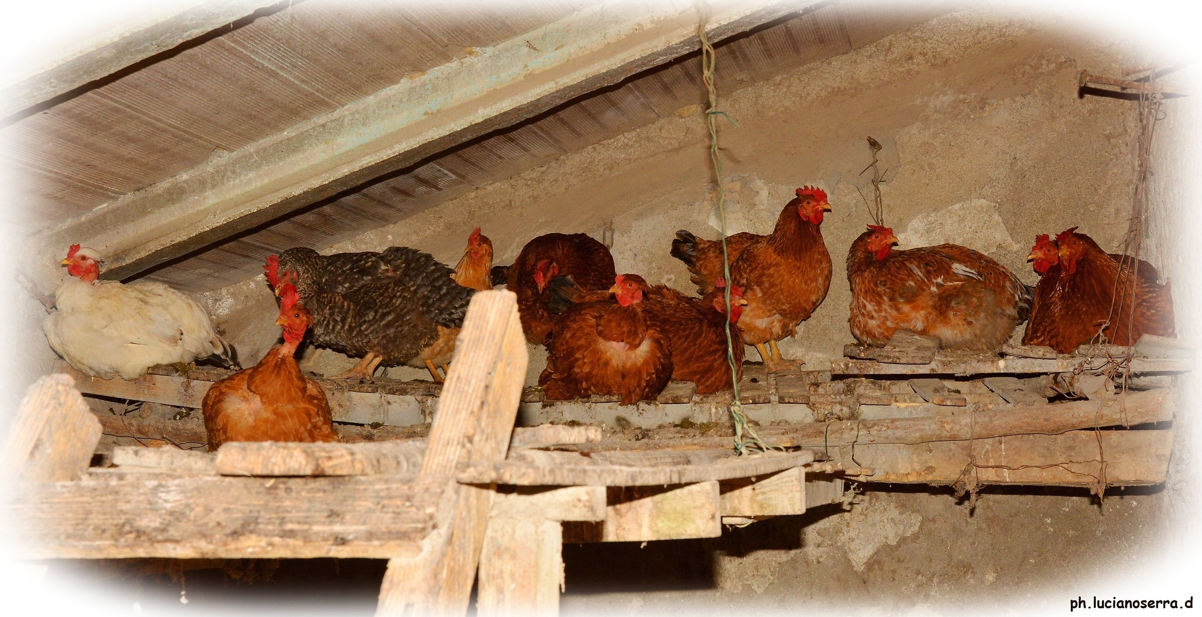 We are ready to sleep ... who turns out the light?