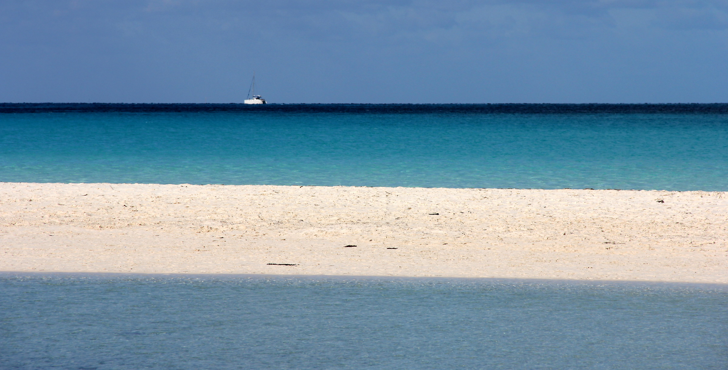 The sea-strat (t) or