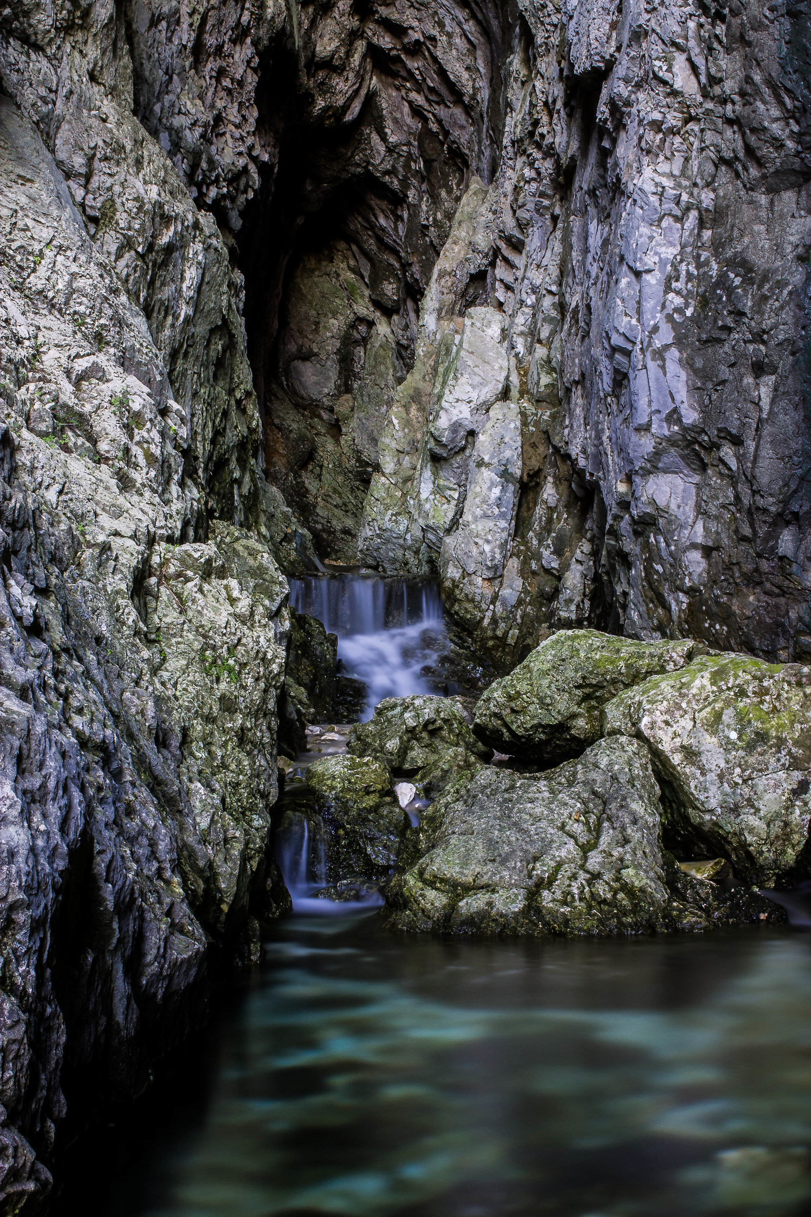 Bus Refos - San Liberal TV