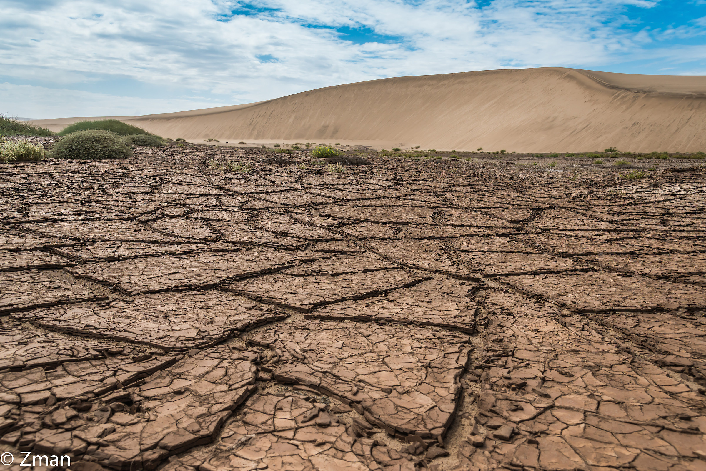 Namibian Desert