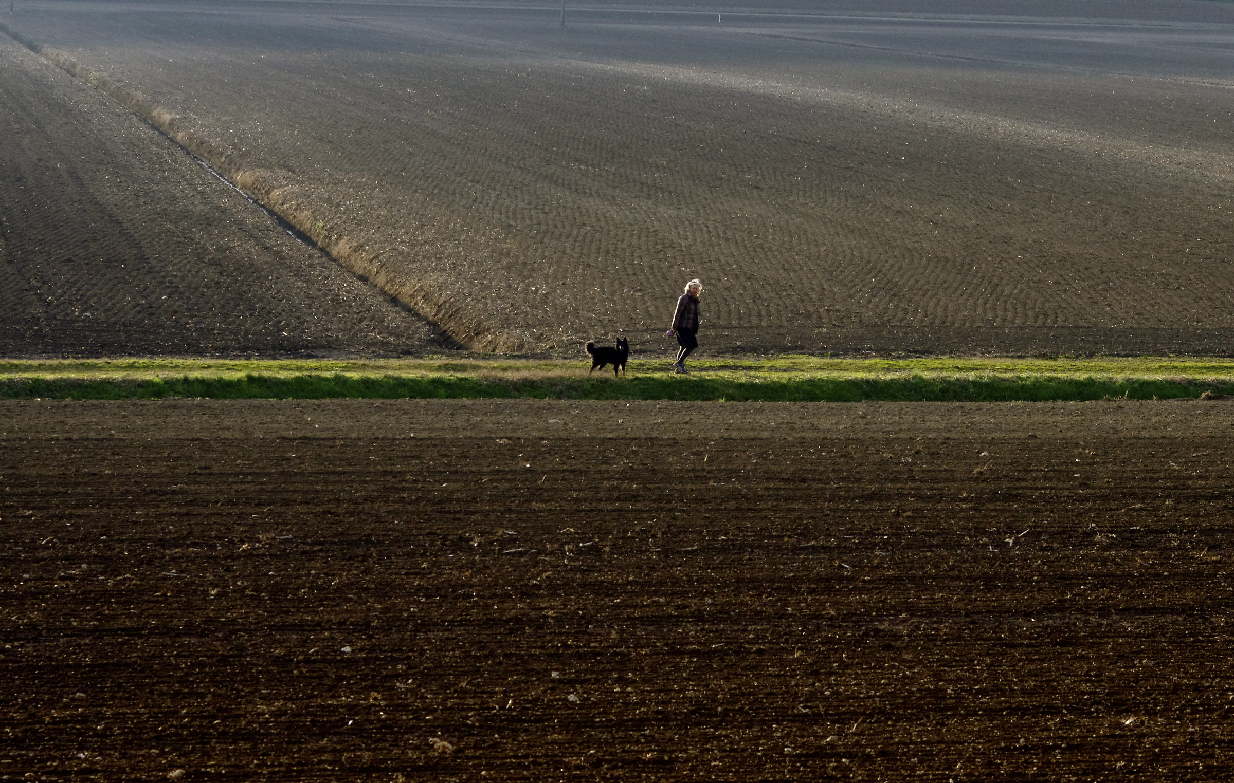 passeggiata tra i campi