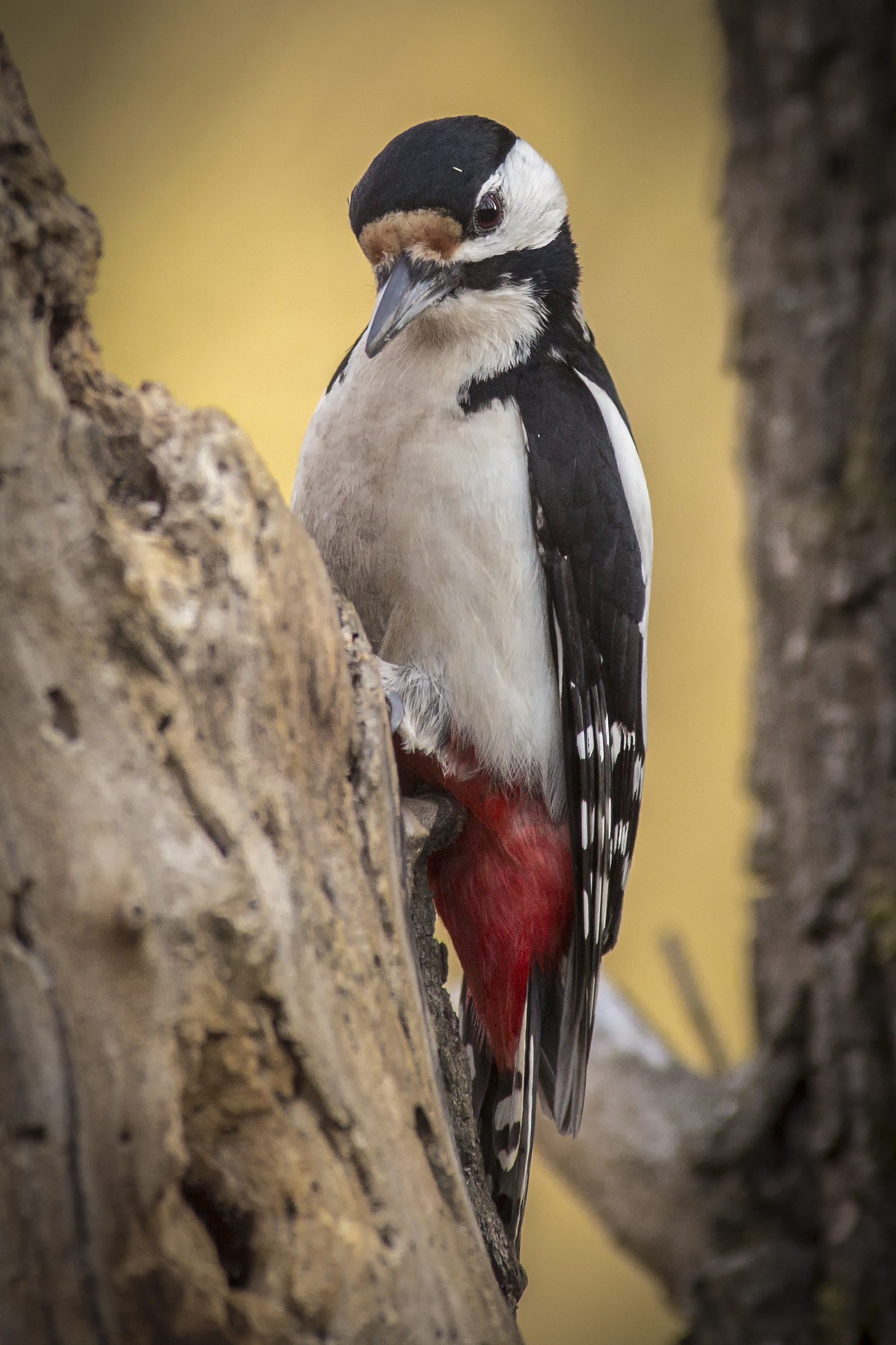 Will you stop taking pictures?