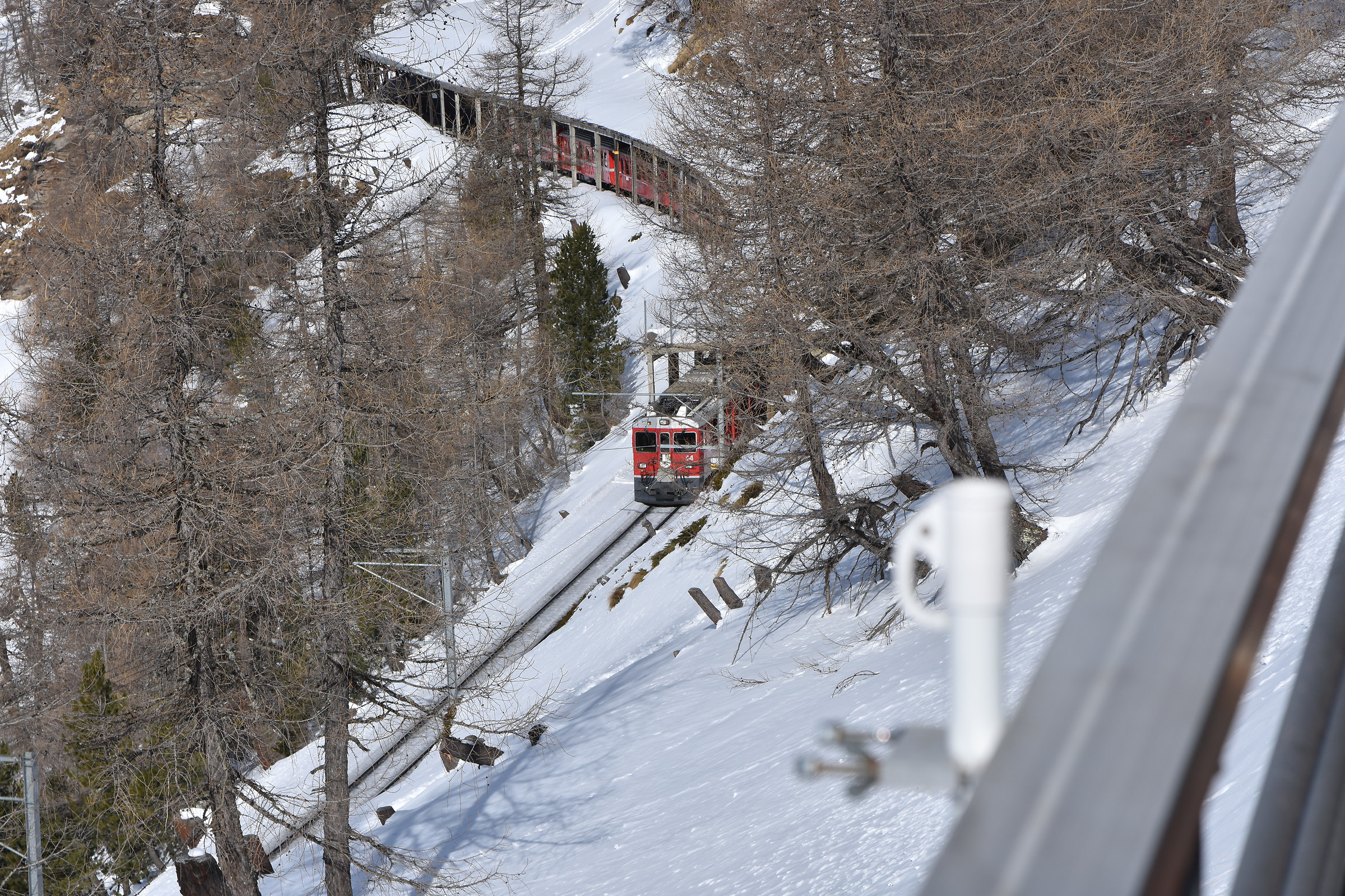 Arriva il Bernina Express