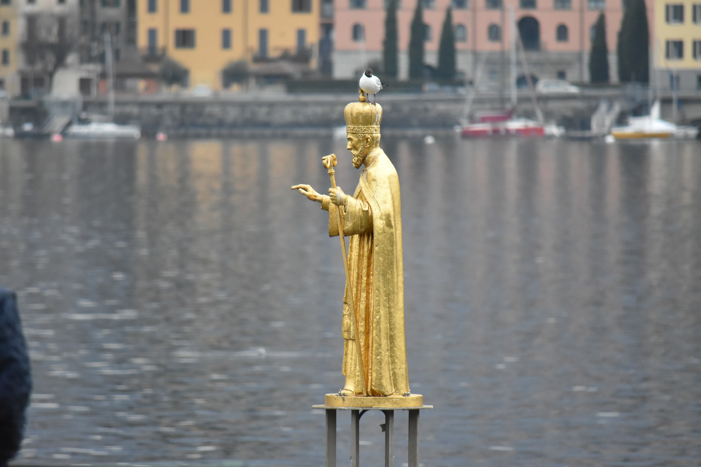 San Nicolò con gabbianella