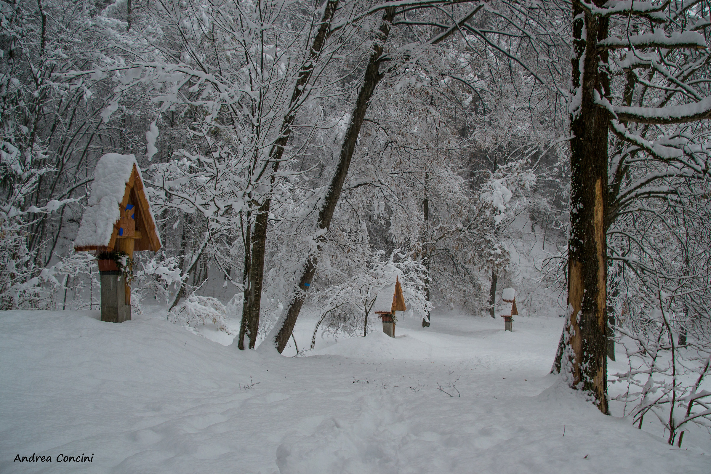 La quiete di una nevicata