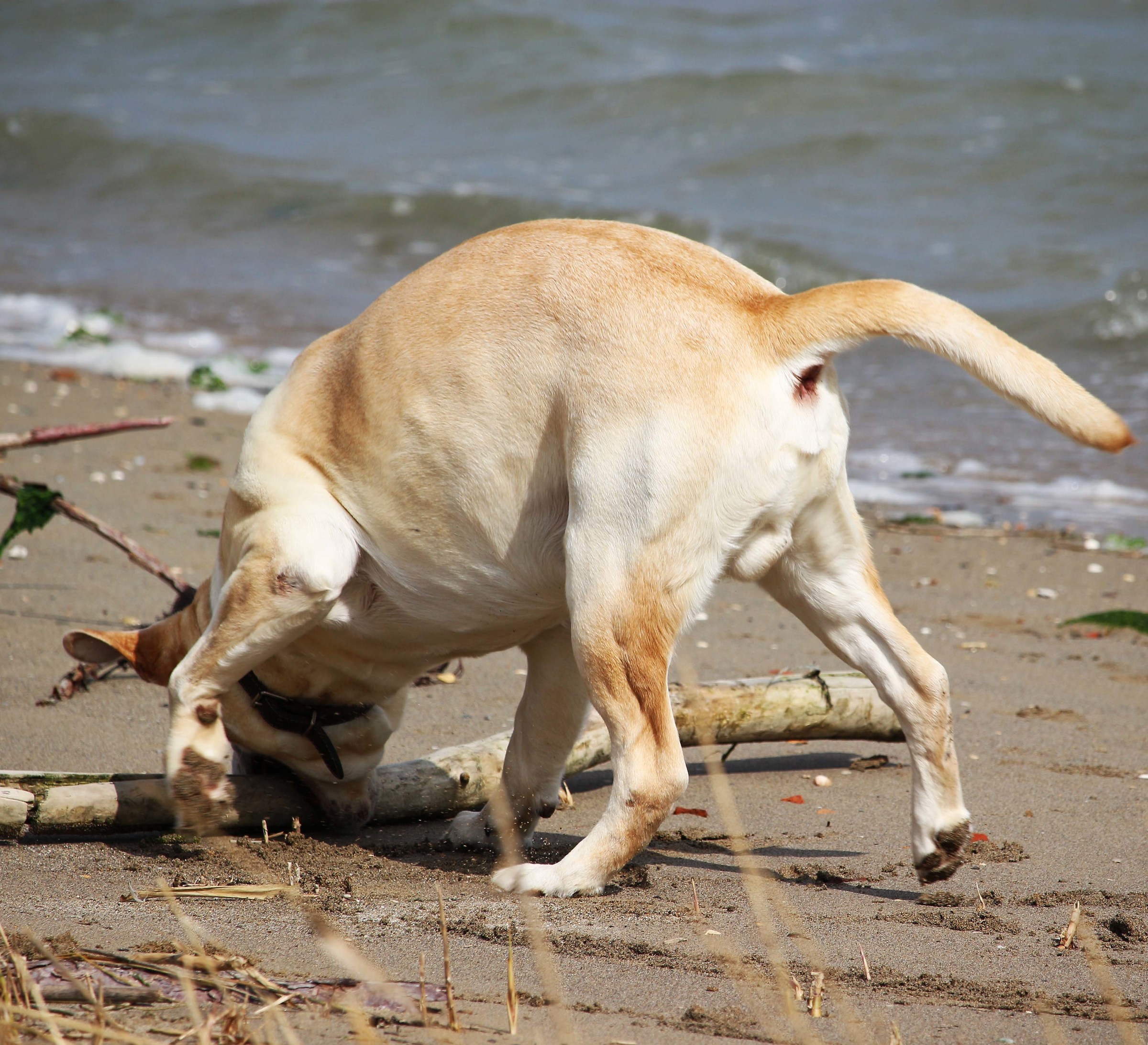 Games on the beach