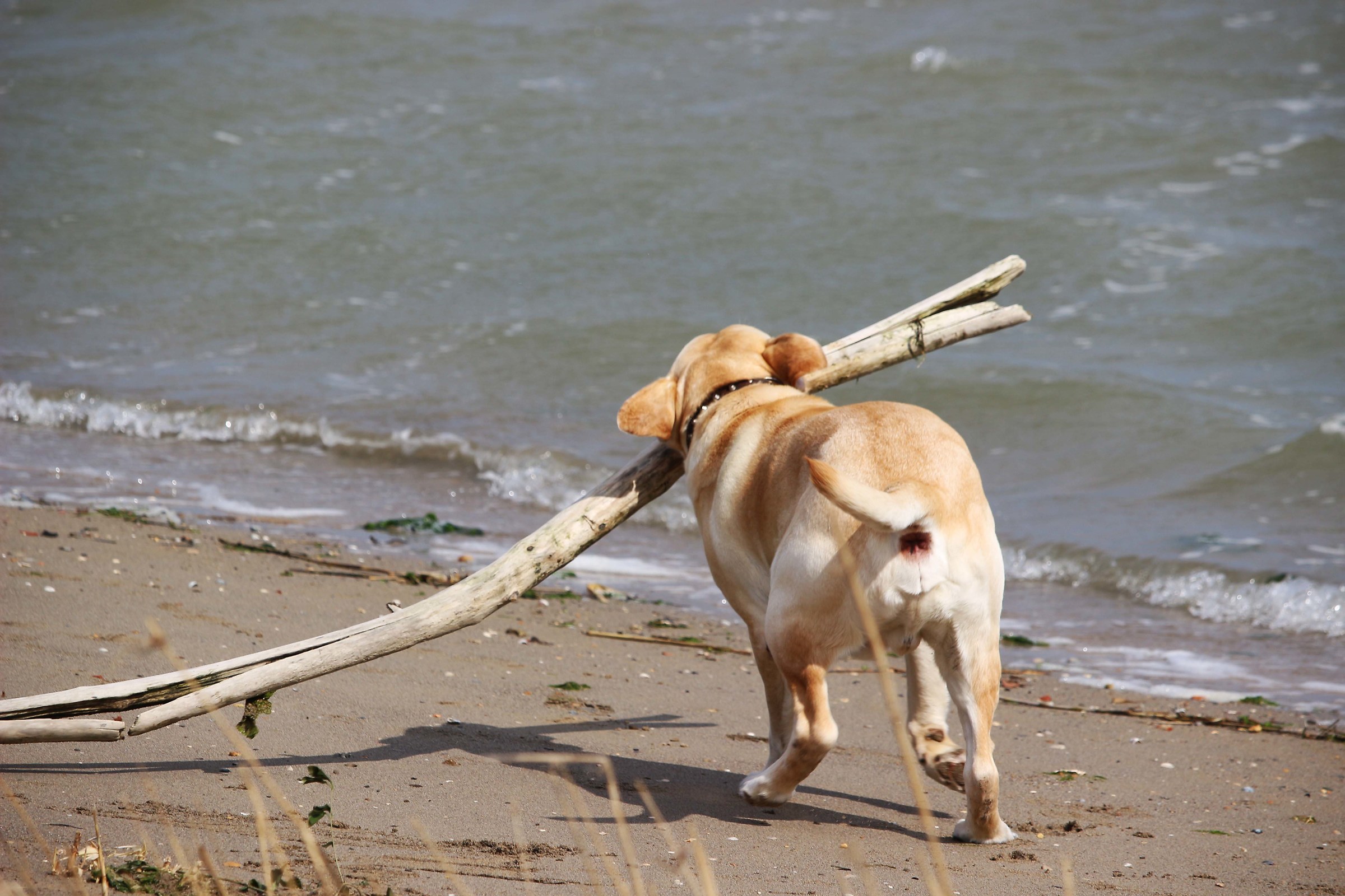 Games on the beach