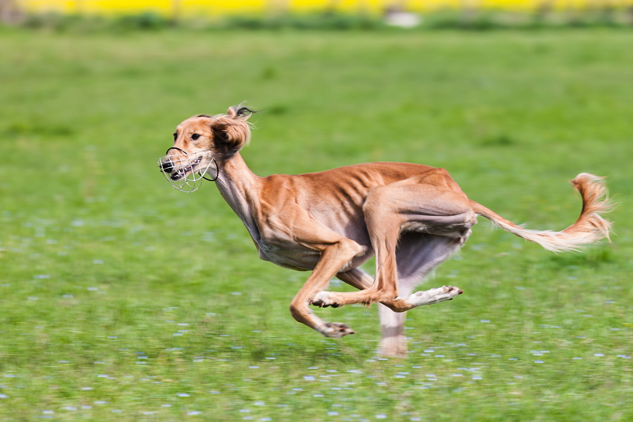 Niki during a workout