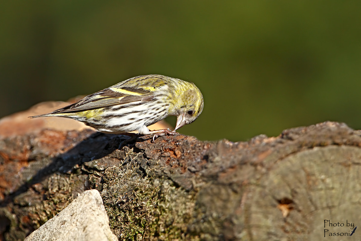 It itches a little finger!