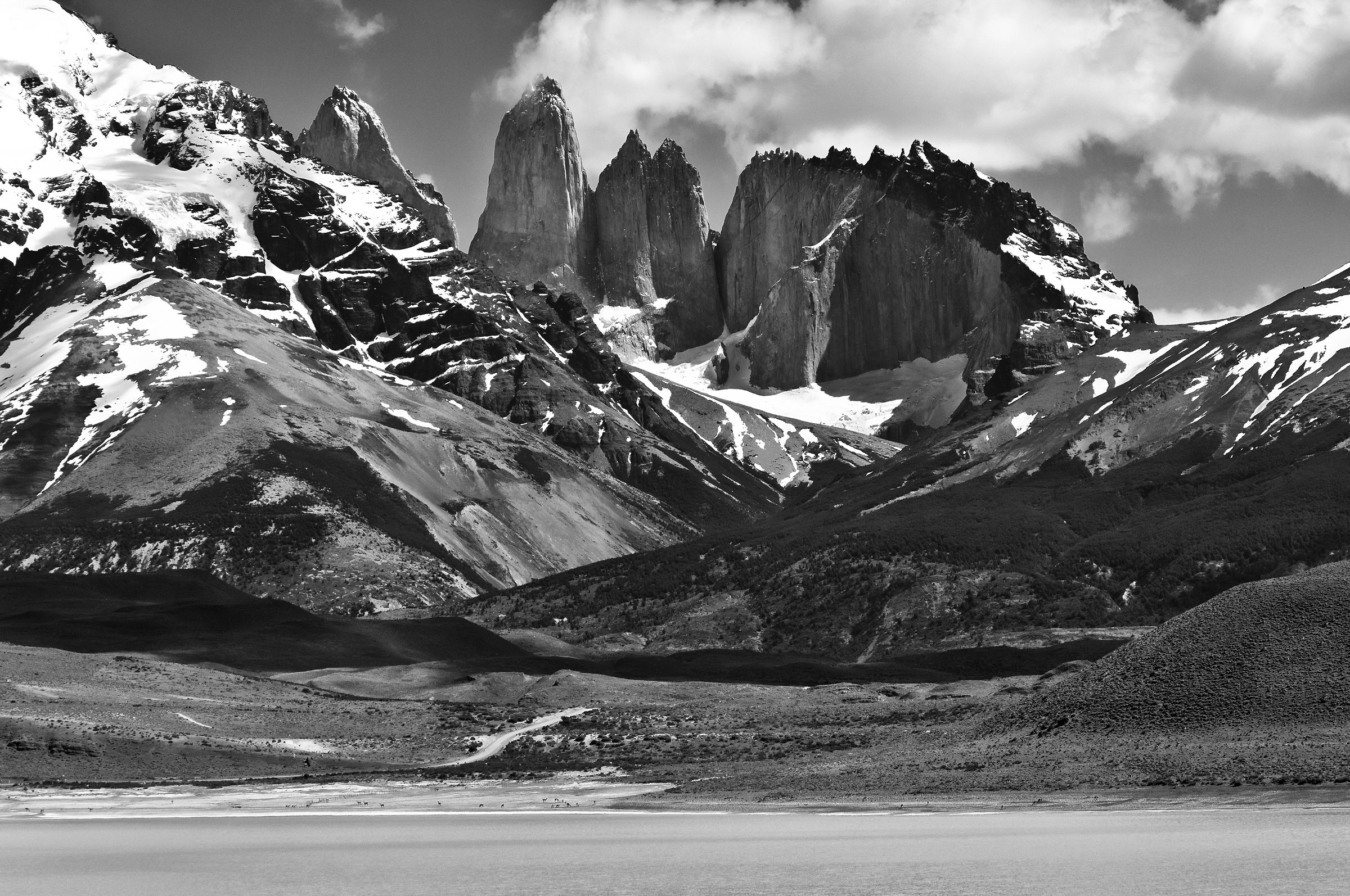 Panorama del Paine Group