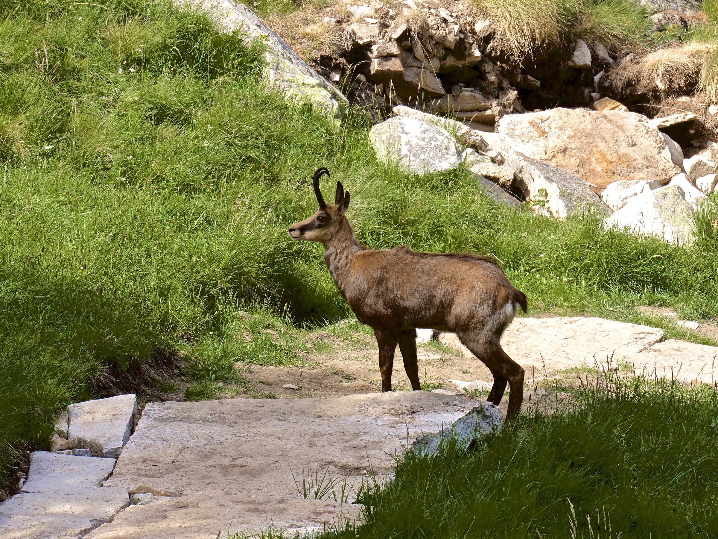 Meeting in Valnontey