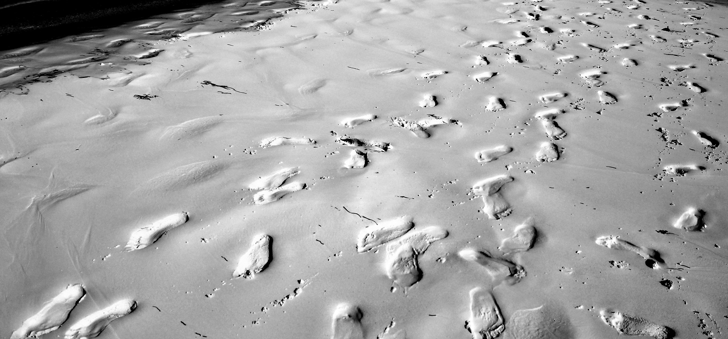 disturbing footsteps