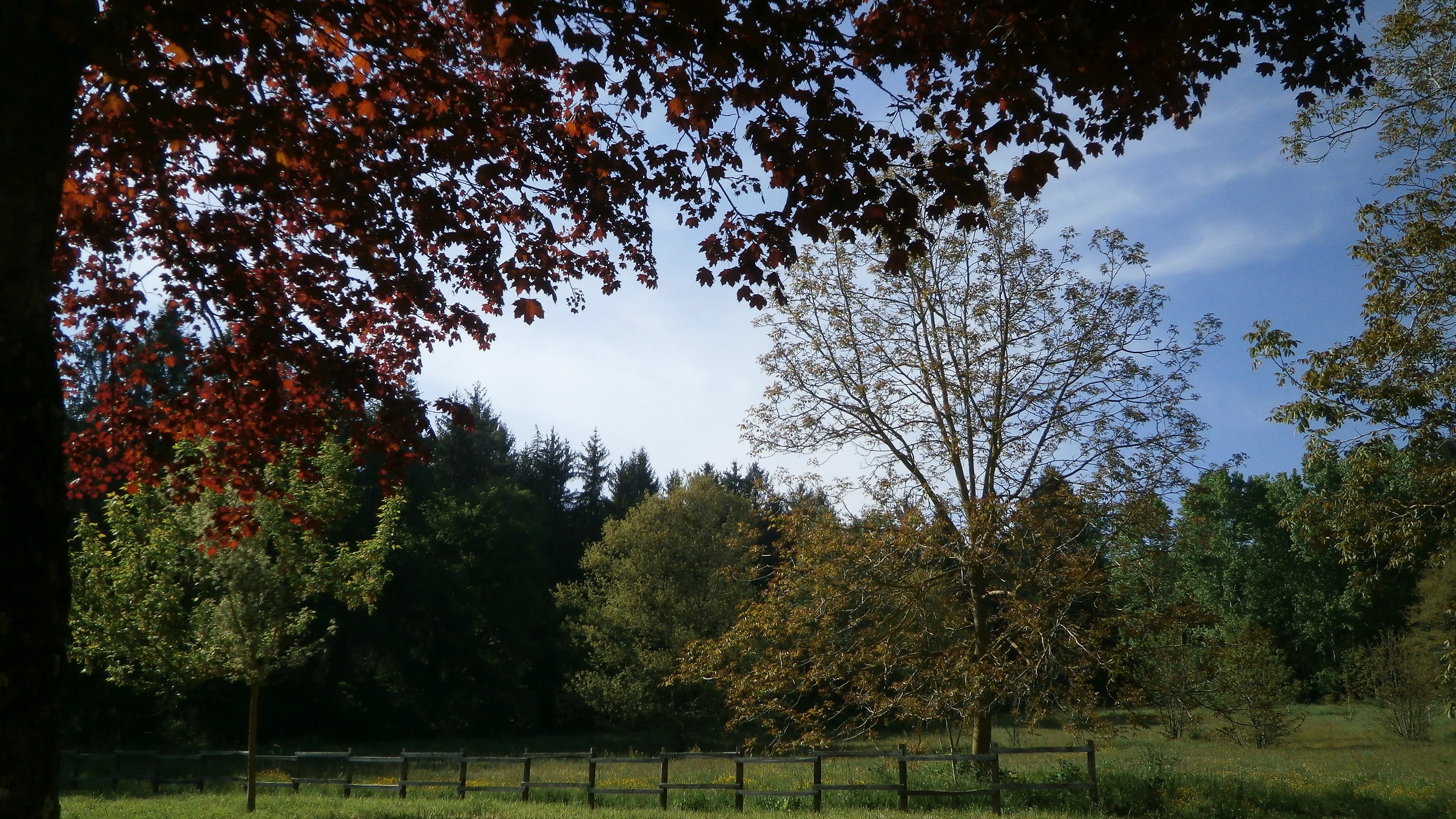 for relaxation vision