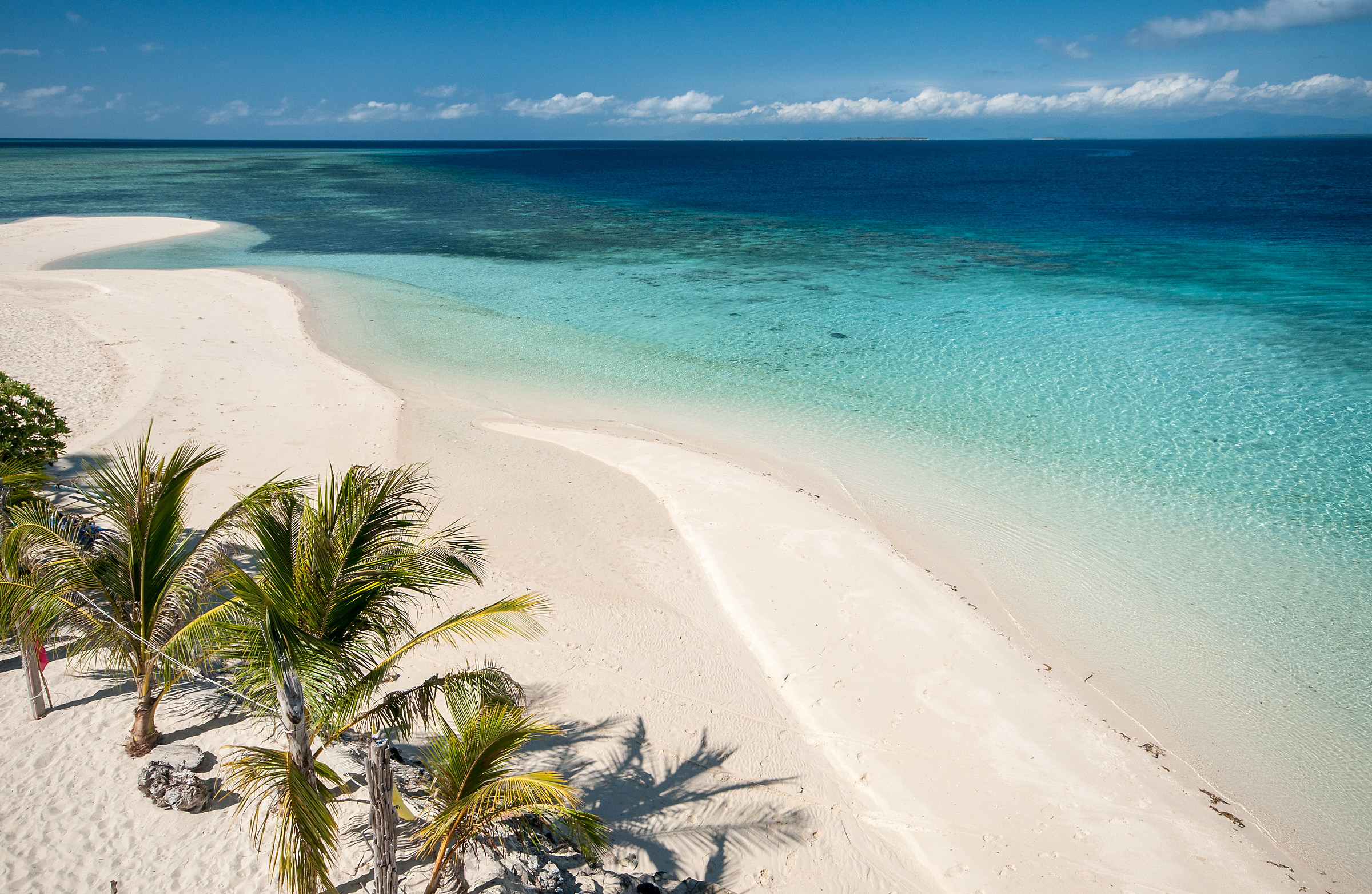 Le sfumature di Roxas