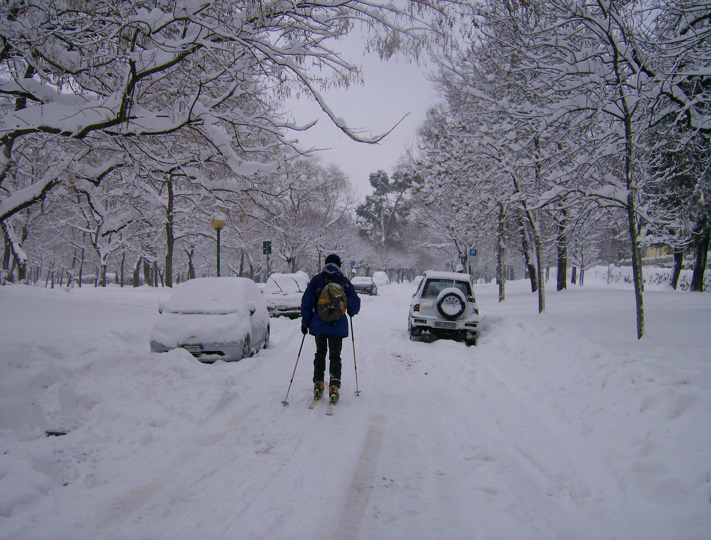Skiing in the Park