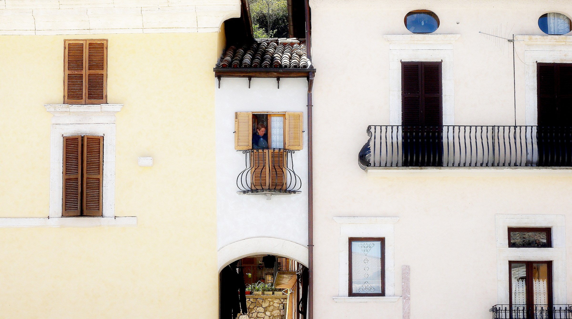 On the Square - Lioness