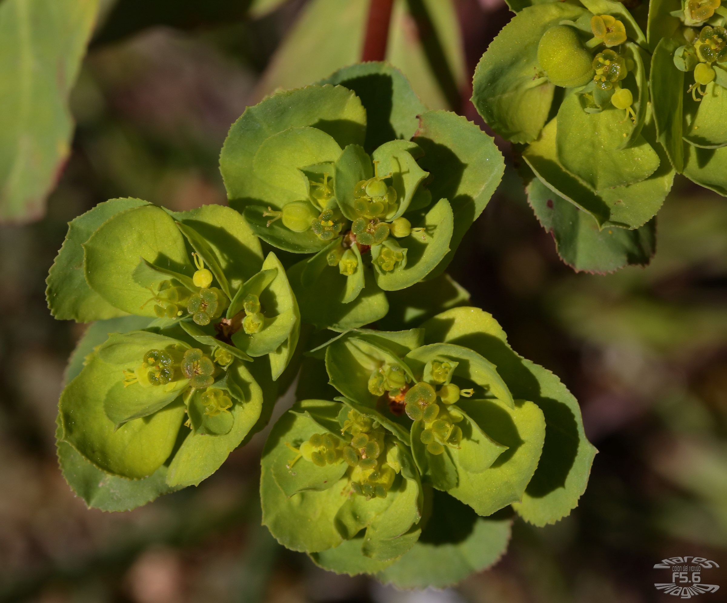 I'm enjoying the spring sunshine
