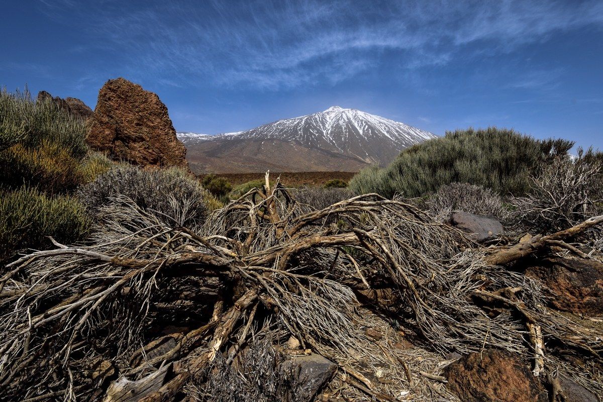 "El Teide" ............