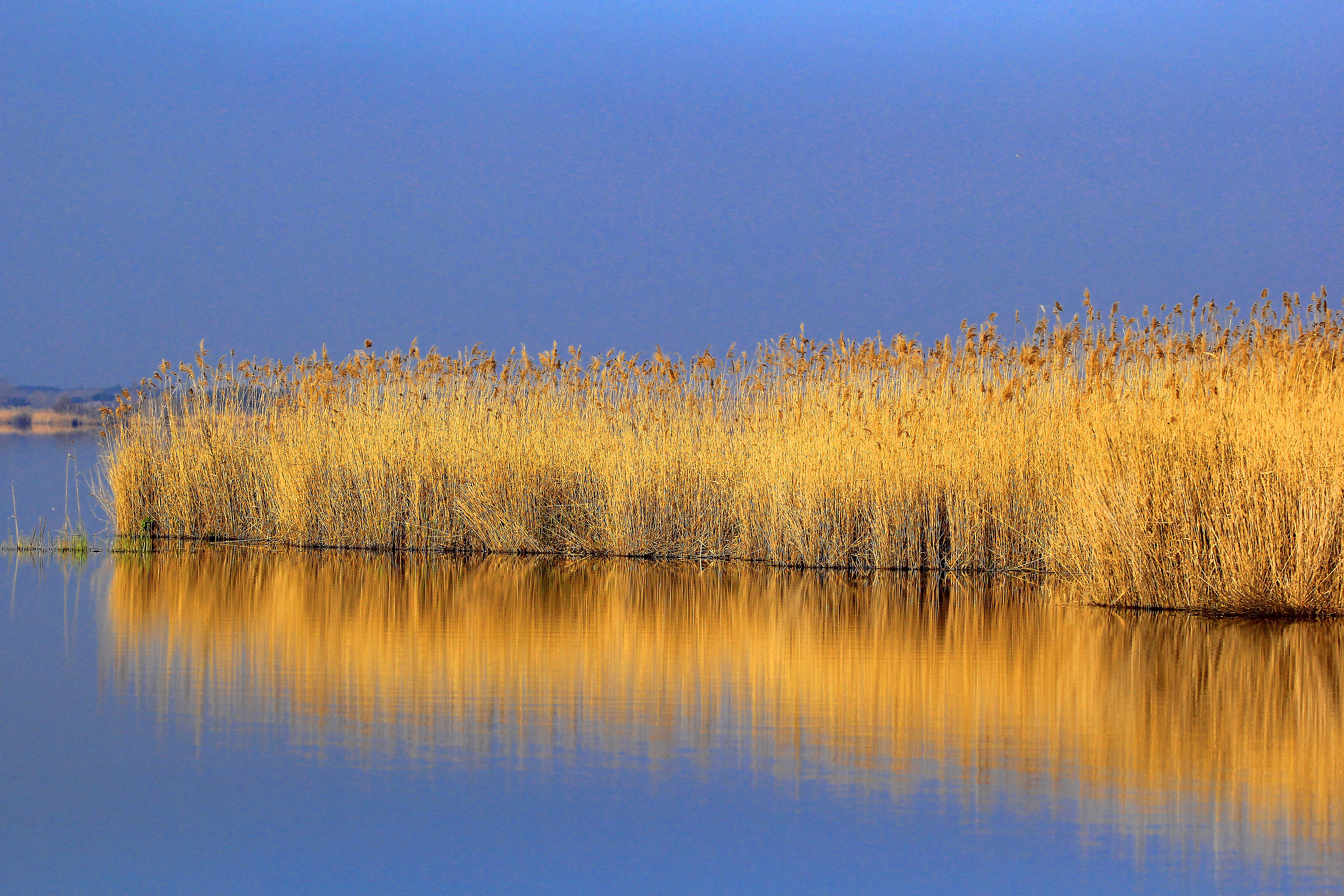 Oasi Lipu Massaciuccoli