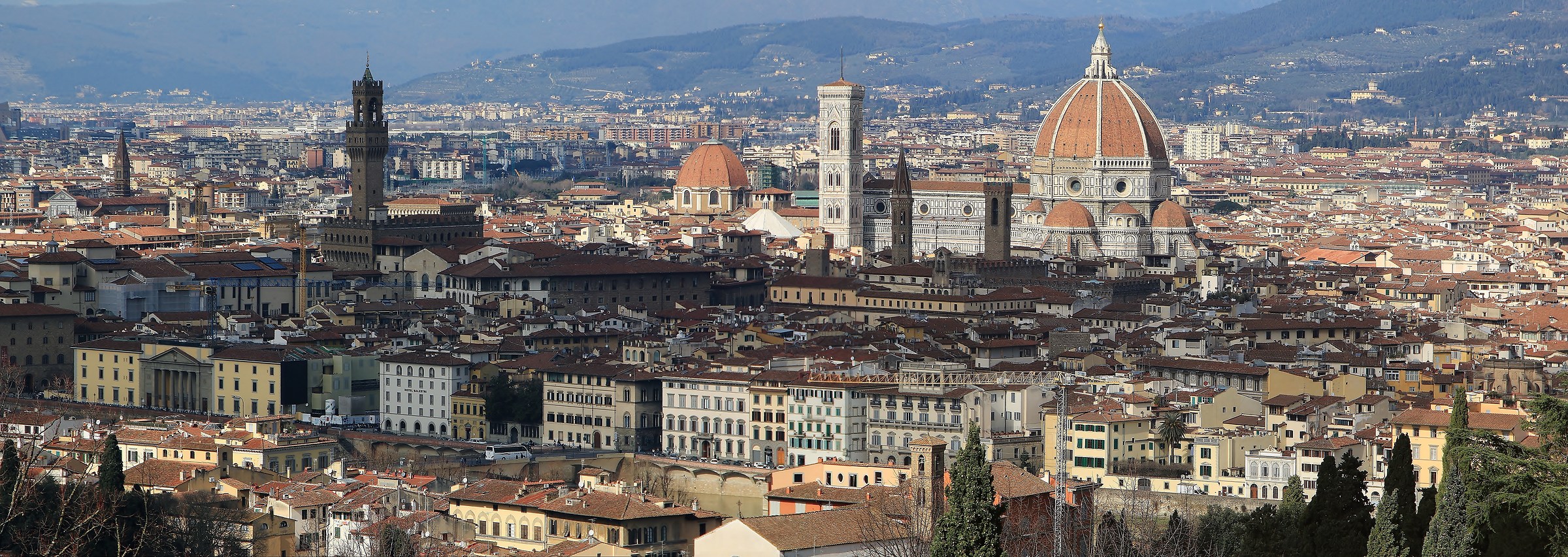 Firenze da S.Miniato