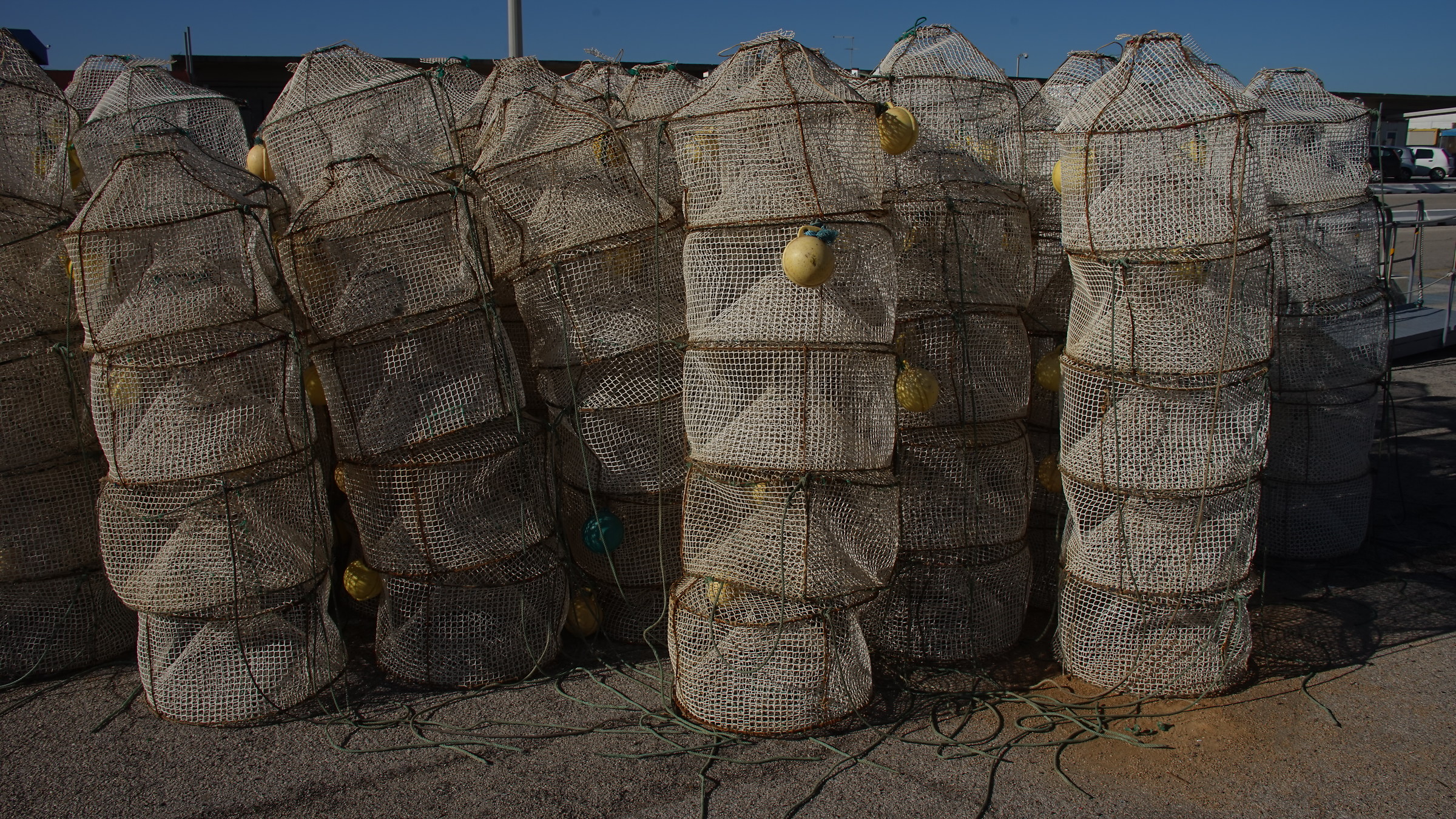 Creels at the port of Termoli