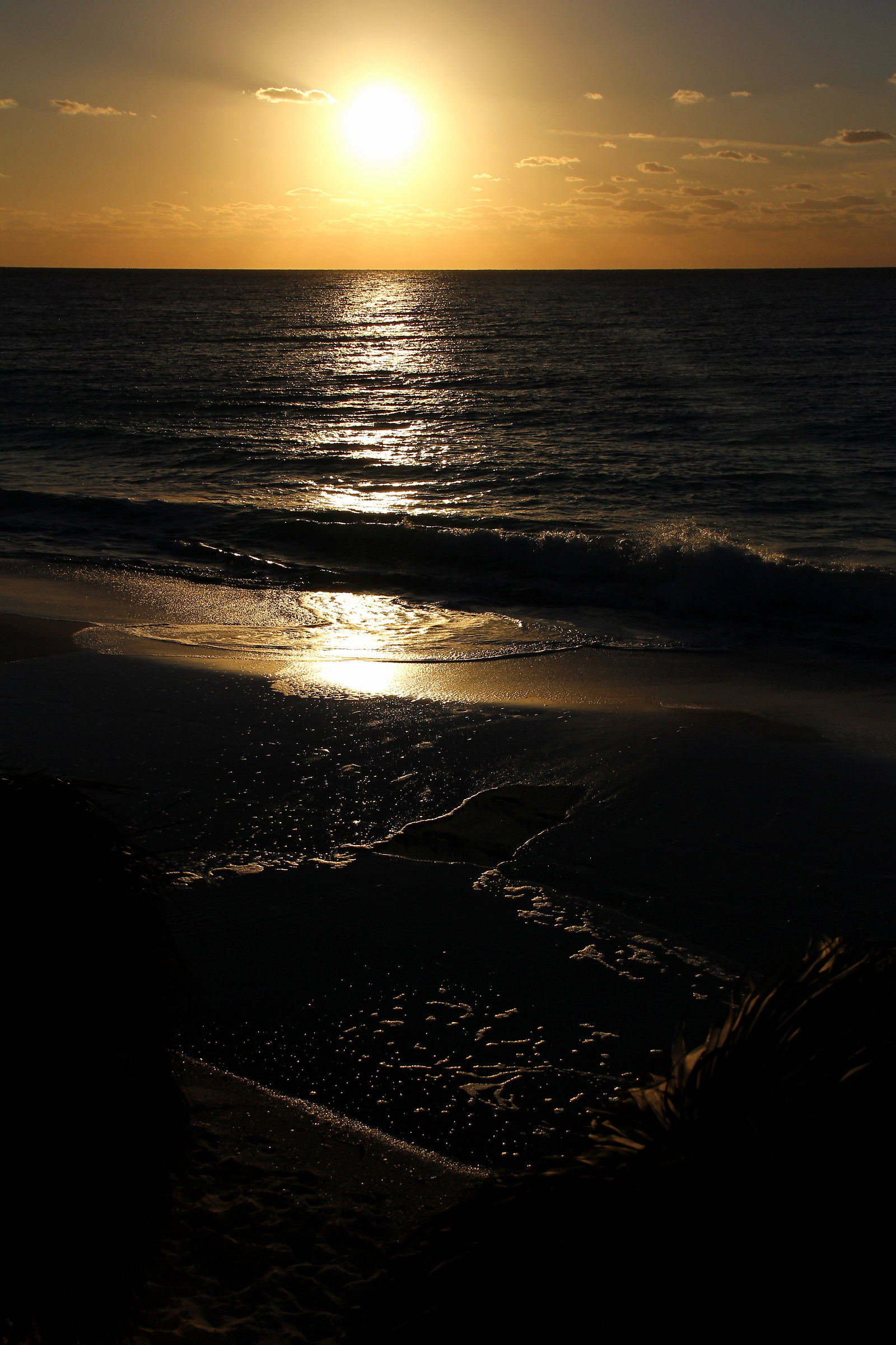 Comes the light of life