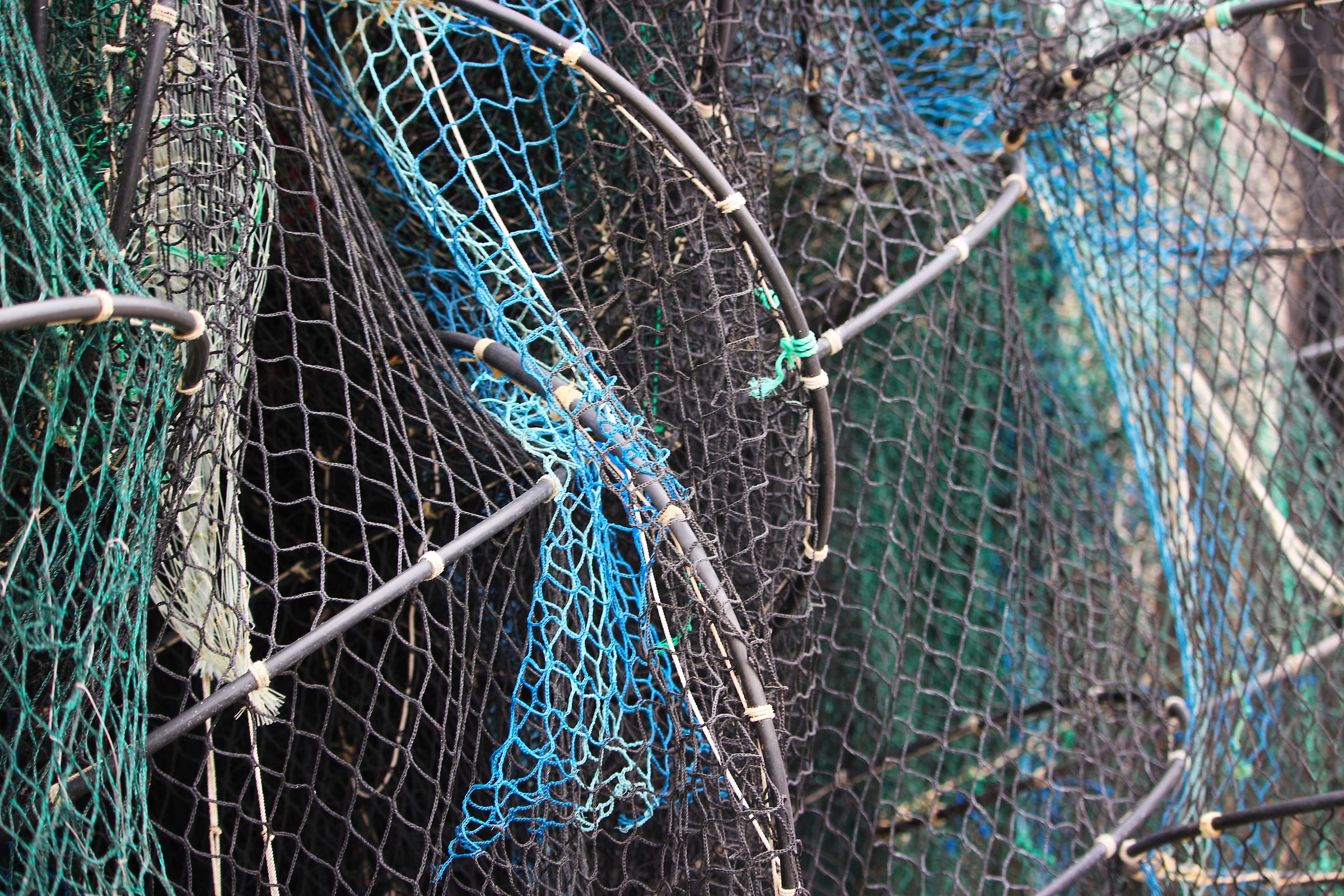 Then return to its port the fisherman