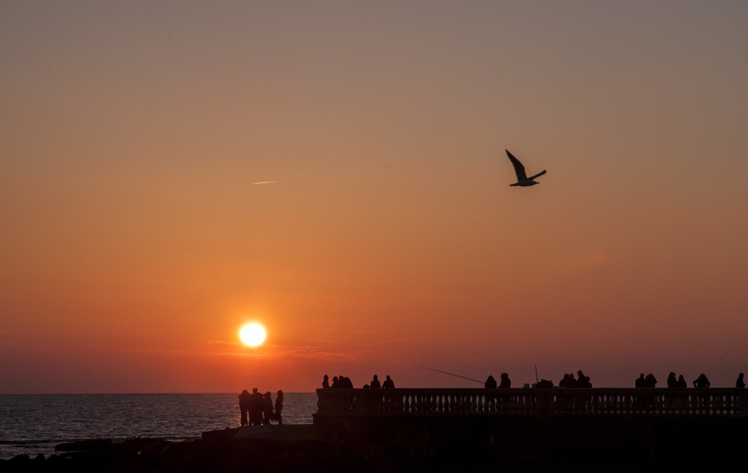Silhouettes at sunset