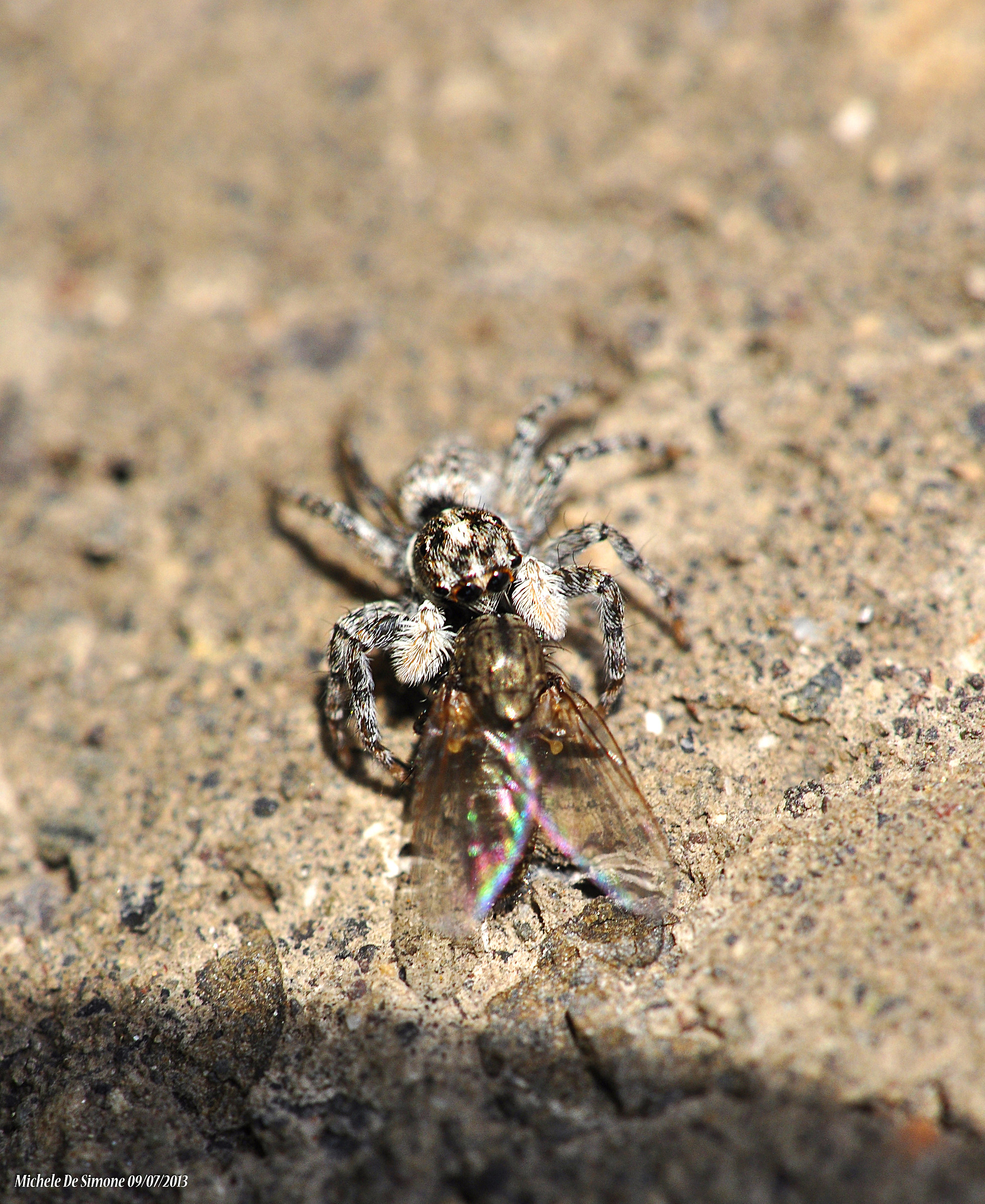 "Ora dello spuntino"
