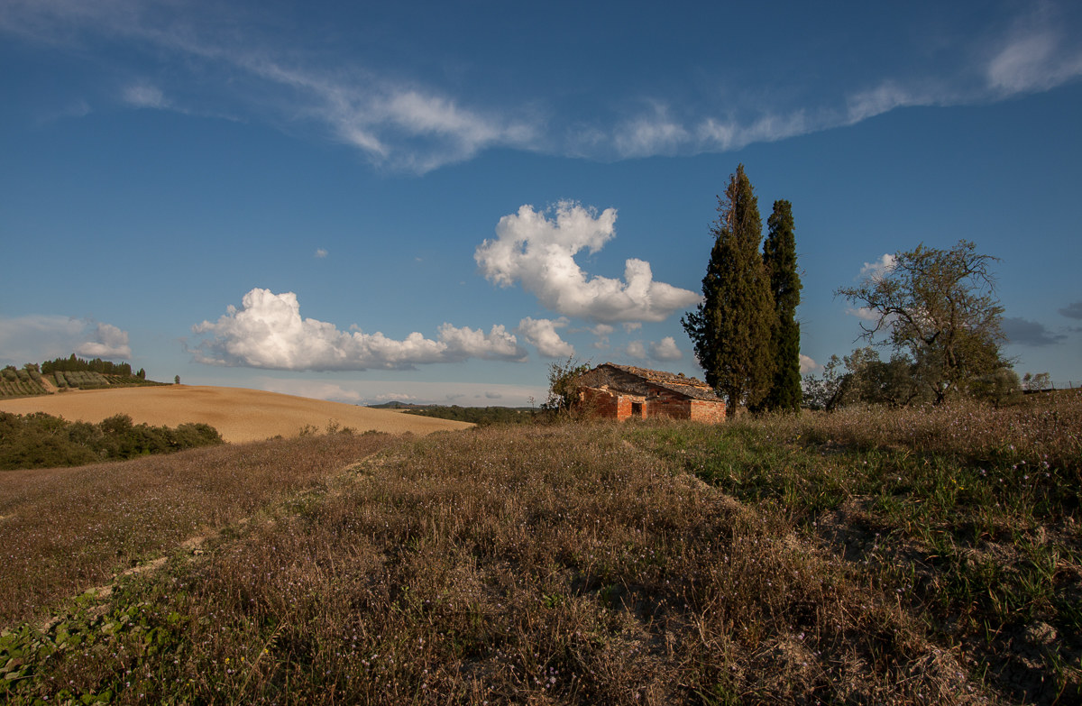 Un punto qualunque nella terra di Siena