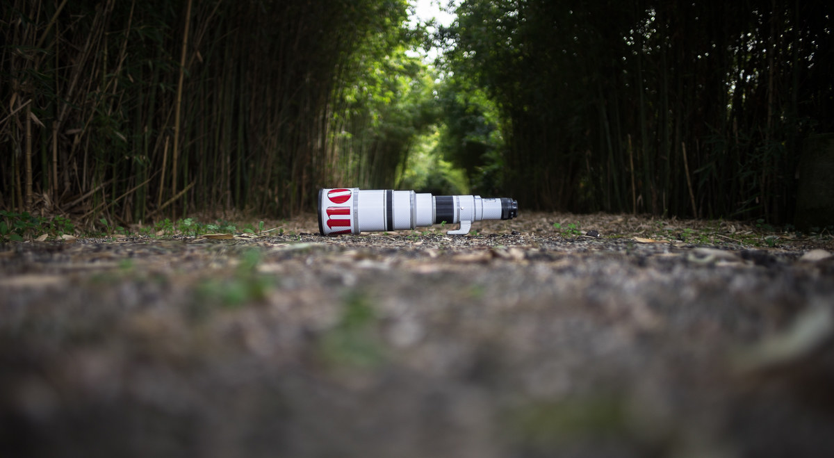 Canon FD 500mm f/4.5 L