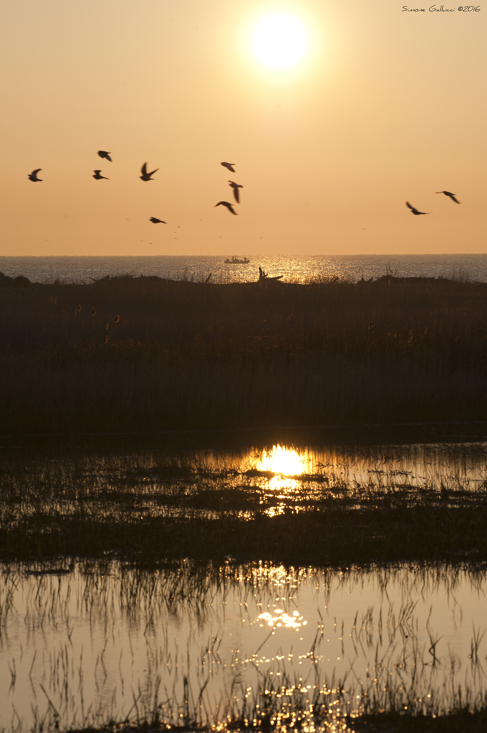 Alba, Nature Reserve Bilge