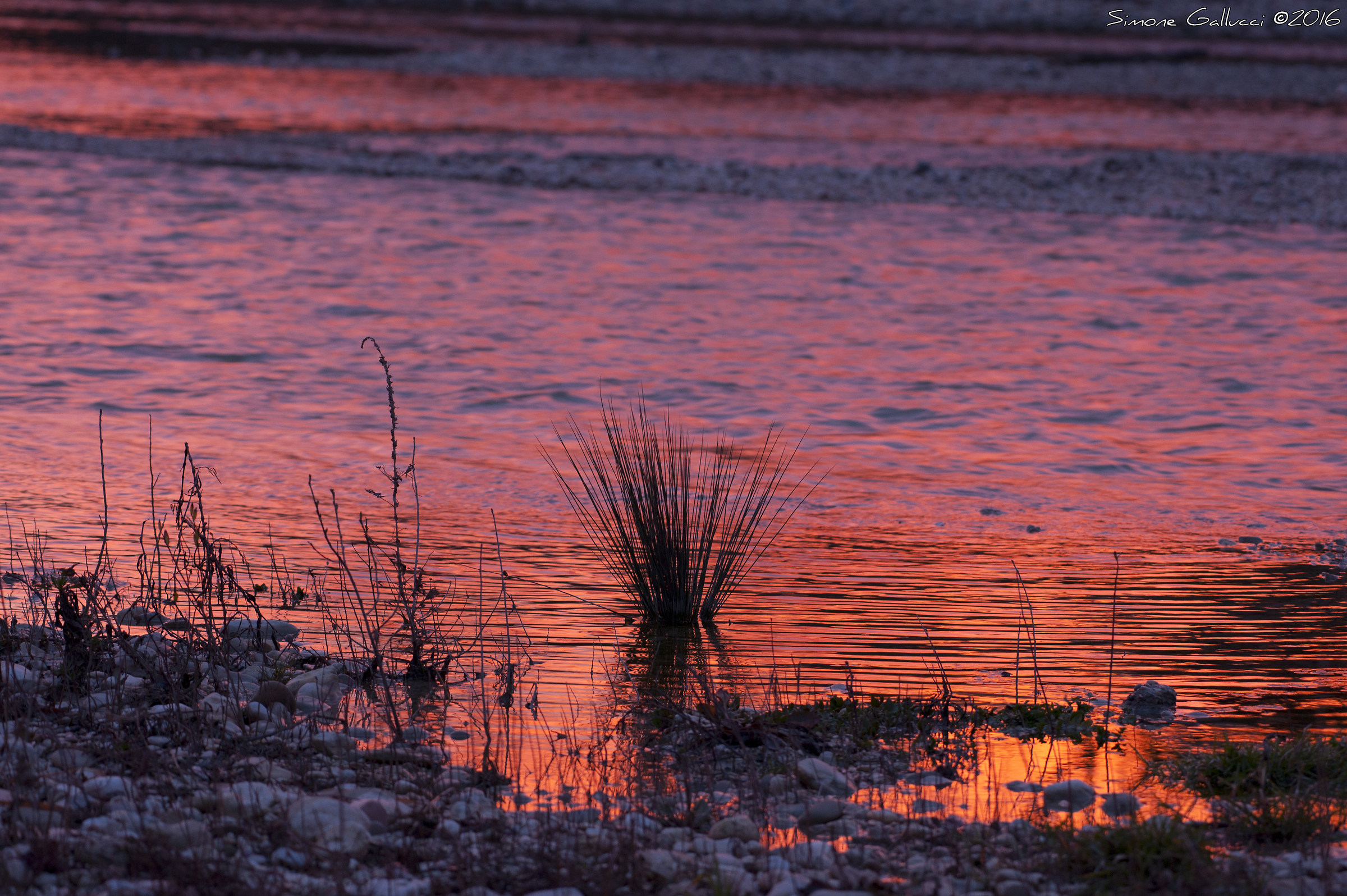 Alba, River Tenna Fermo (FM)